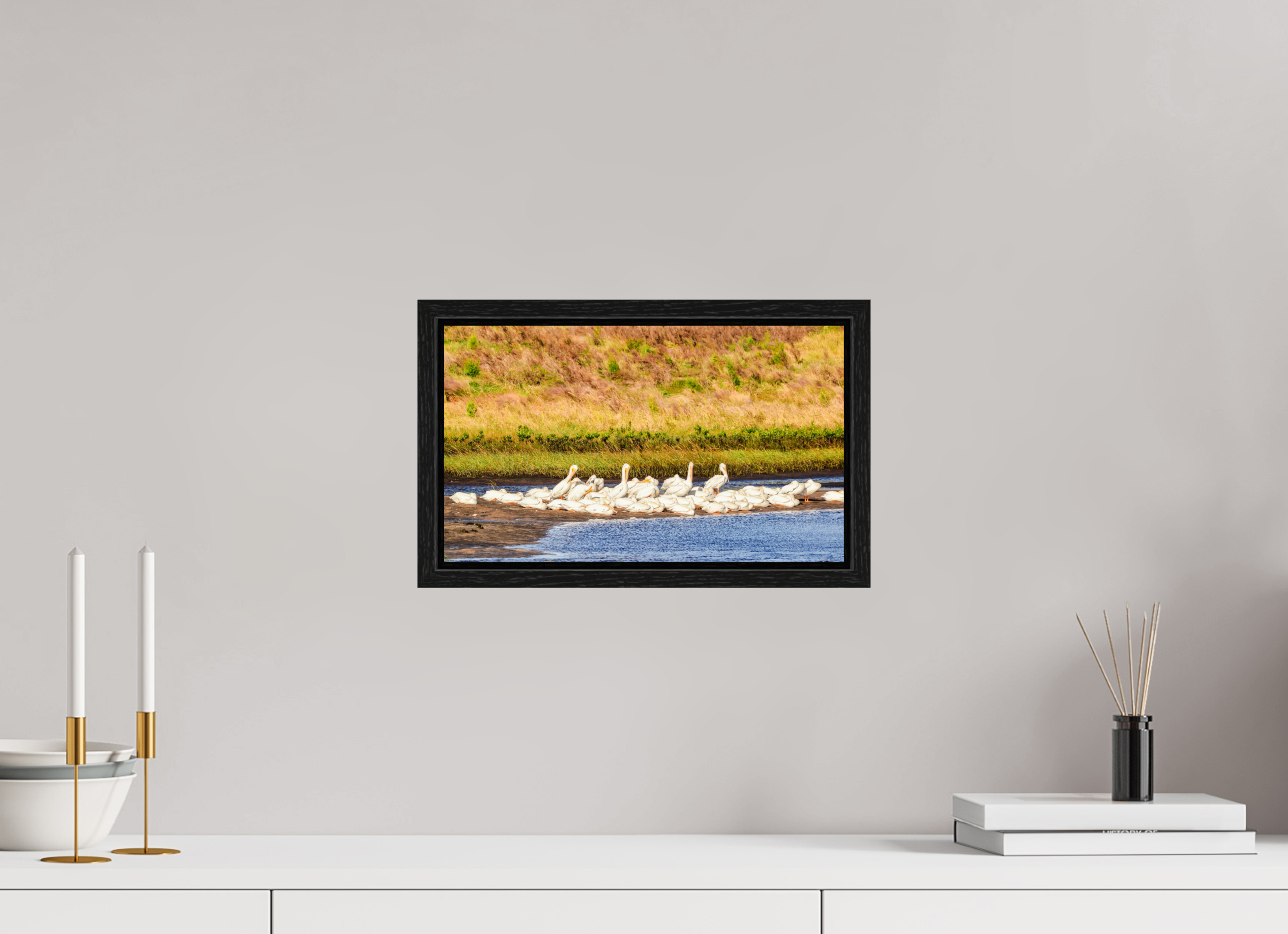 13.5 x 8″, Floater Frame White Pelicans Golden Hour Gathering