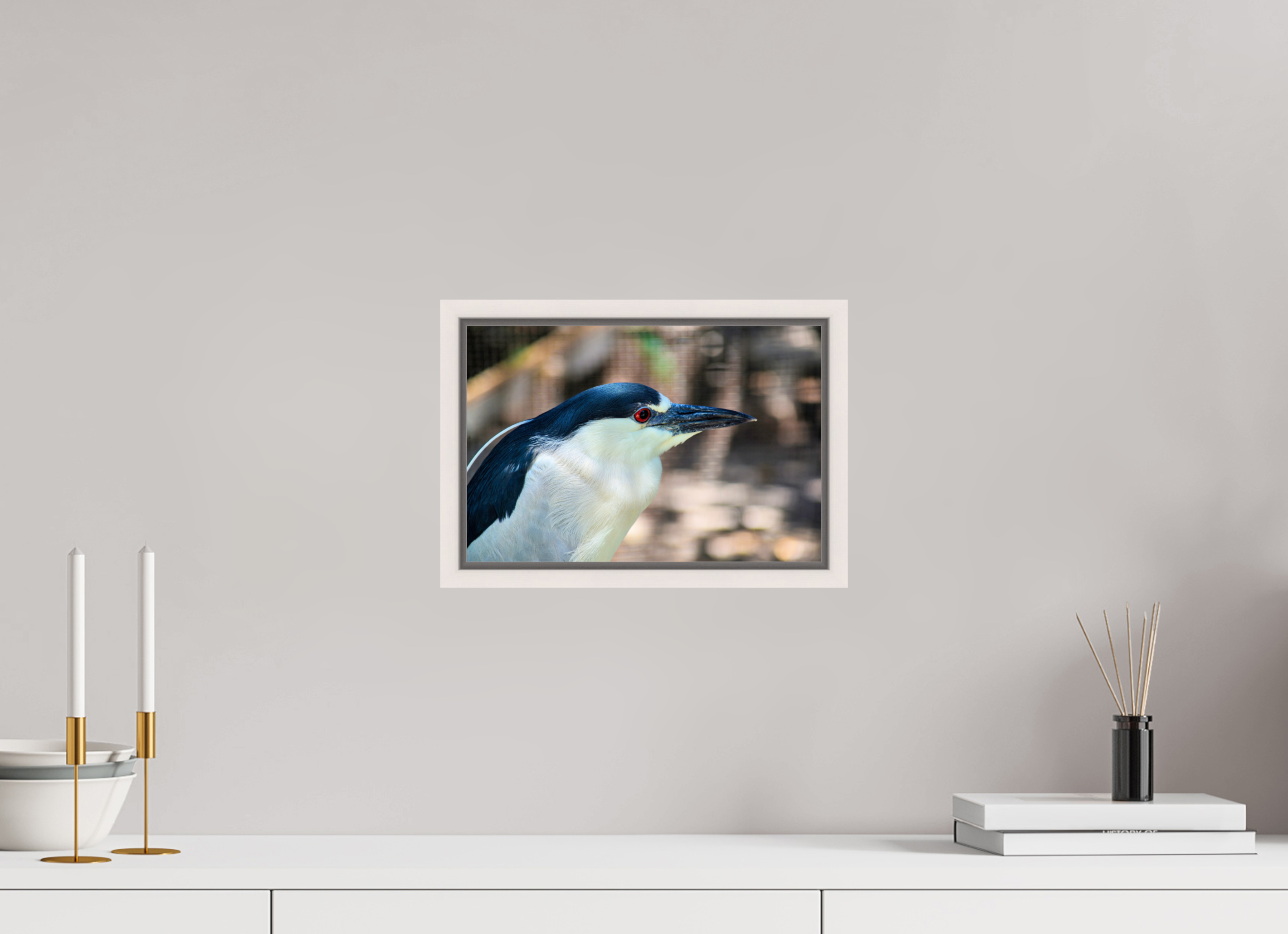 12 x 8″, Floater Frame, Basel 0.6", Maple White, Glossy Acrylic Glass Black-crowned Night Heron