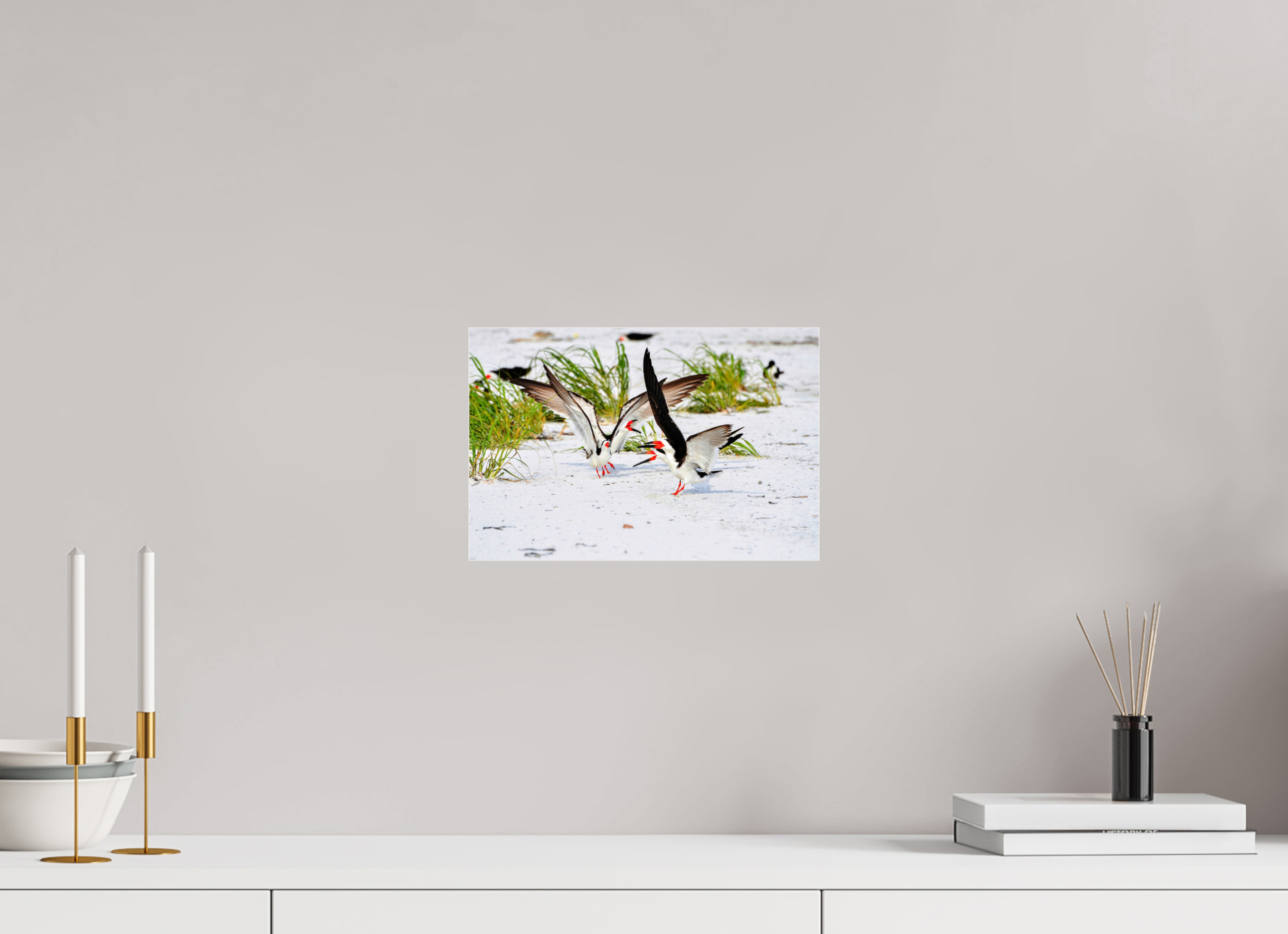12 x 8″, Metallic Photo Print Under Acrylic Glass The Skimmer Dance