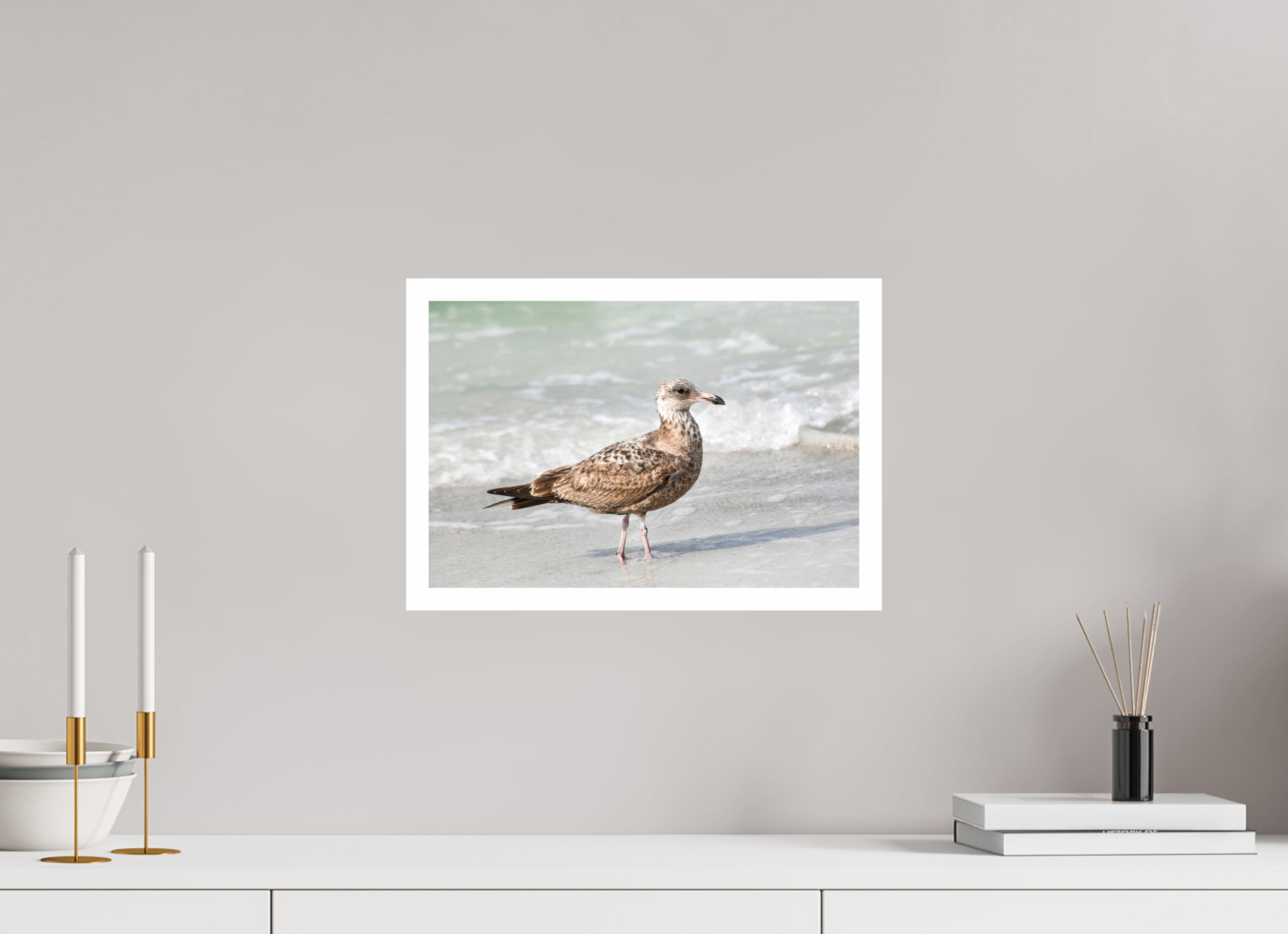 15 x 10″, Hahnemühle FineArt Pearl Print, .79" white border The Young Explorer: Immature American Herring Gull