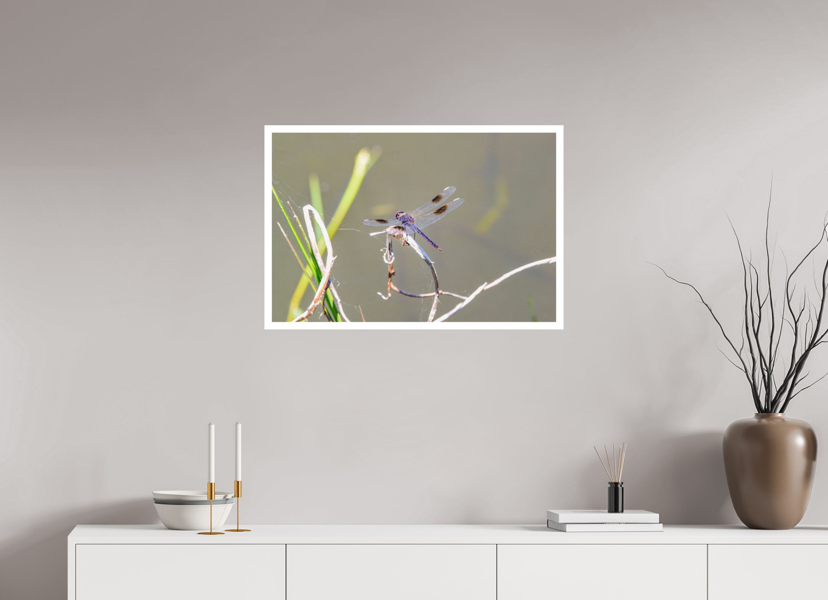 30 x 20″, Hahnemühle FineArt Pearl Print, .79" white border Pennant Dragonfly in the Marsh