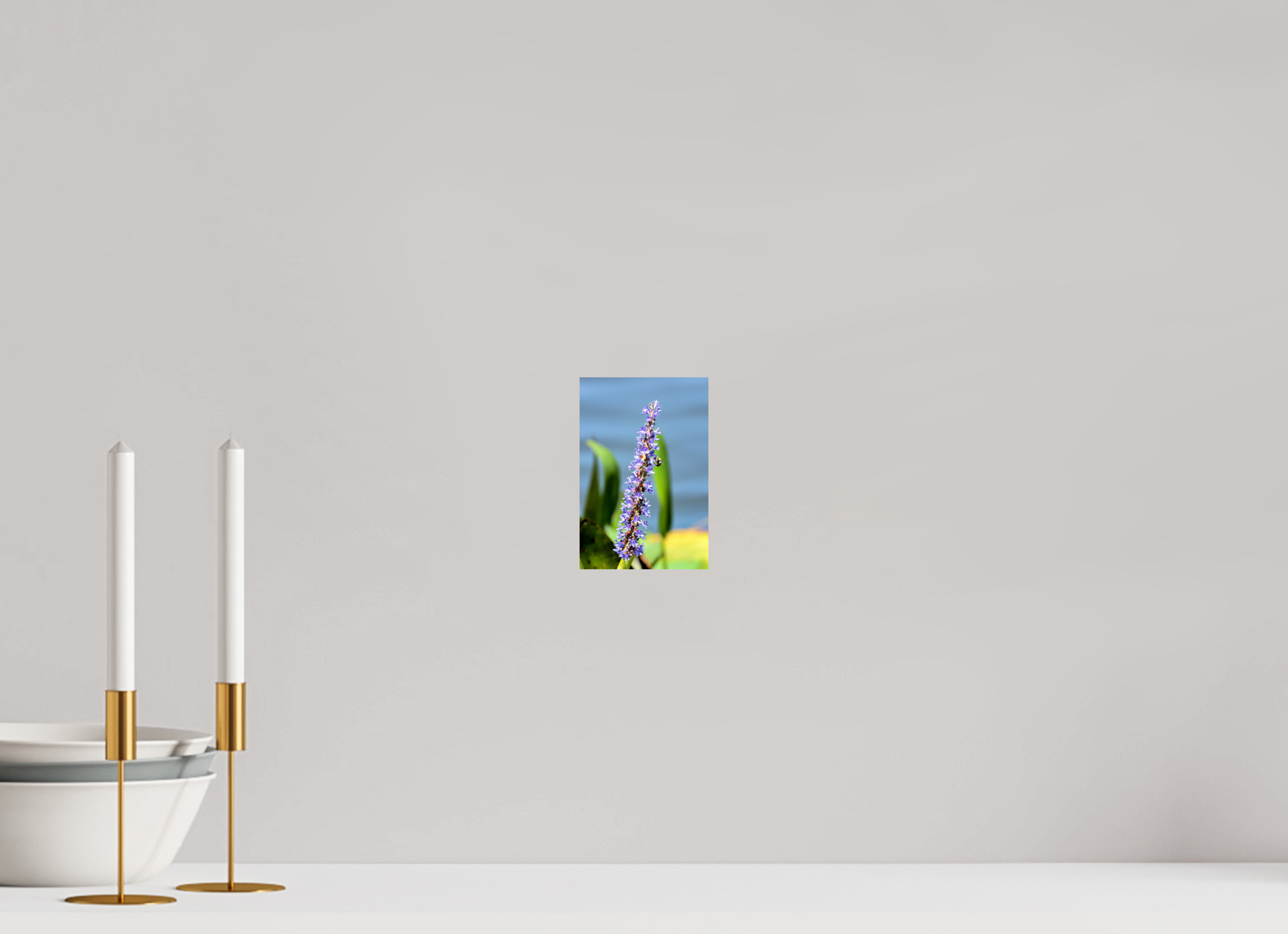 4 x 6″, Photo Print On Fuji Crystal DP II Bloom & Buzz