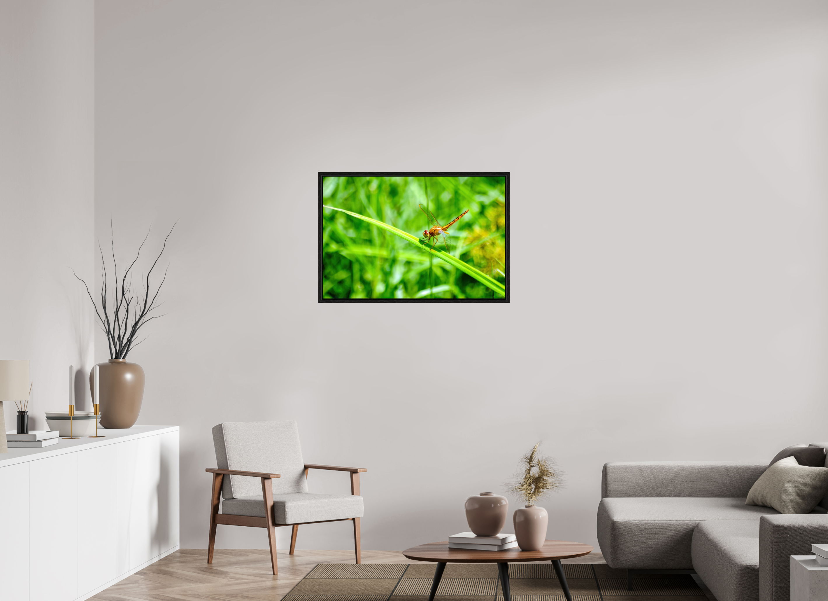 36 x 24″, Floater Frame, Basel 0.6", Black Oak, Glossy Acrylic Glass Female Scarlet Skimmer