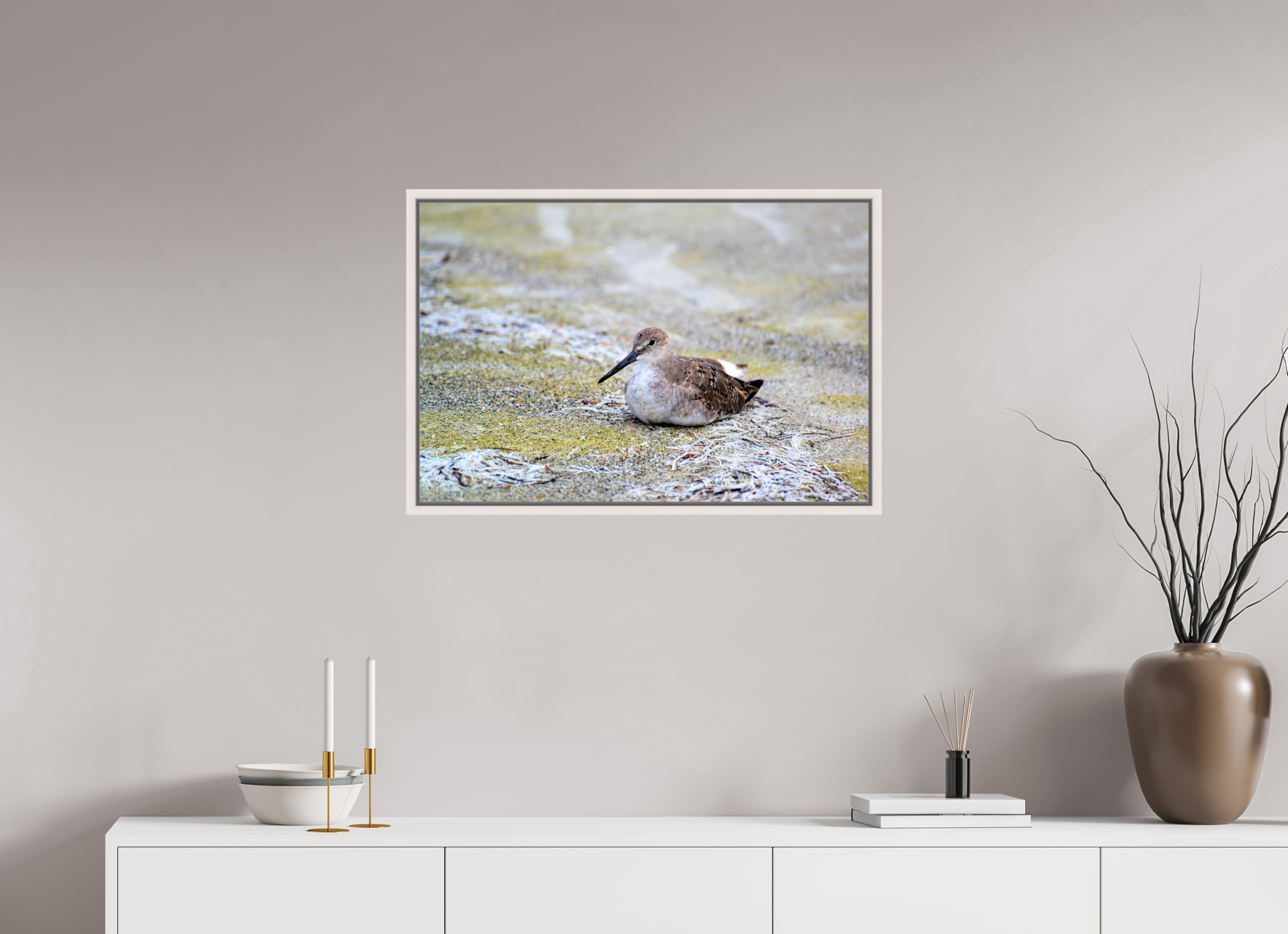 30 x 20″, Floater Frame, Basel 0.6", Maple White, Glossy Acrylic Glass The Resting Willet