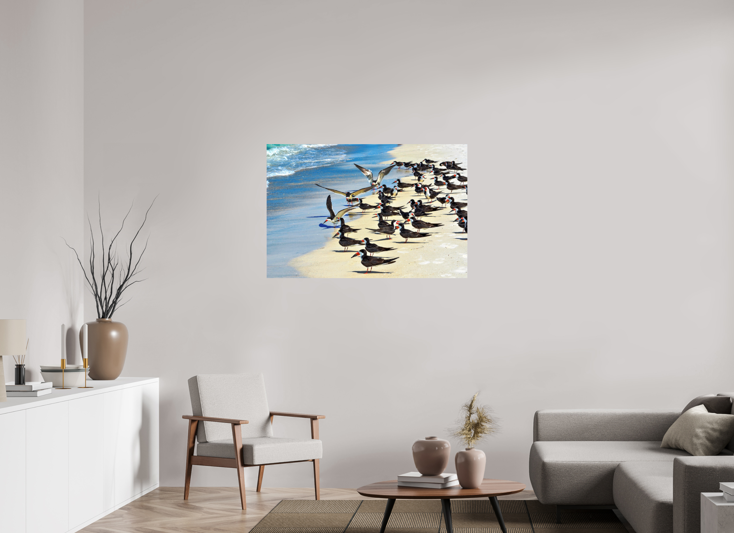 45 x 30″, Photo Print On Fuji Crystal DP II Shoreline Social: Black Skimmer Colony