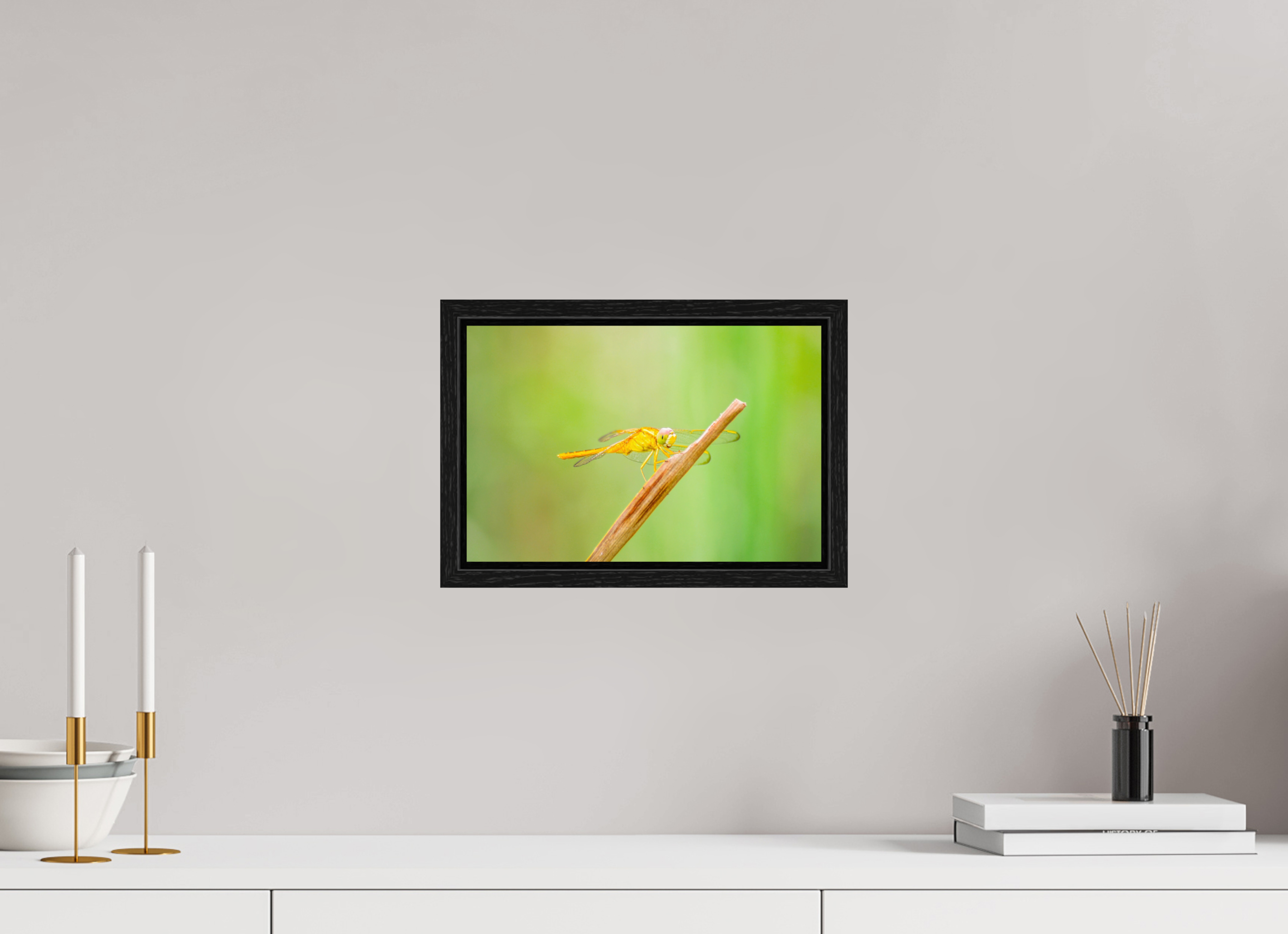 12 x 8″, Floater Frame, Basel 0.6", Black Oak, Glossy Acrylic Glass Sun-Drenched Golden Scarlet Skimmer