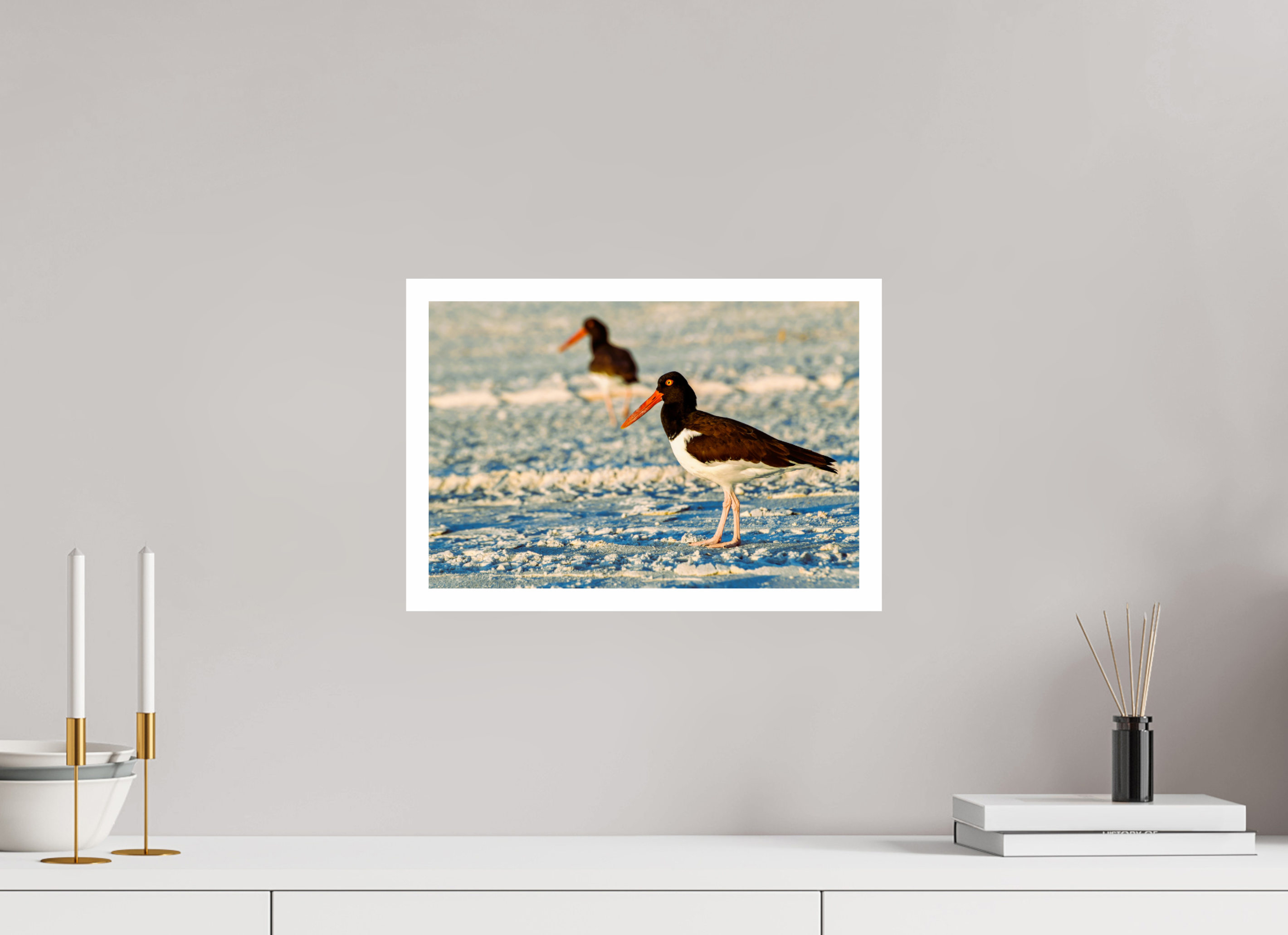15 x 10″, Hahnemühle FineArt Pearl Print, .79" white border Oystercatcher Stroll