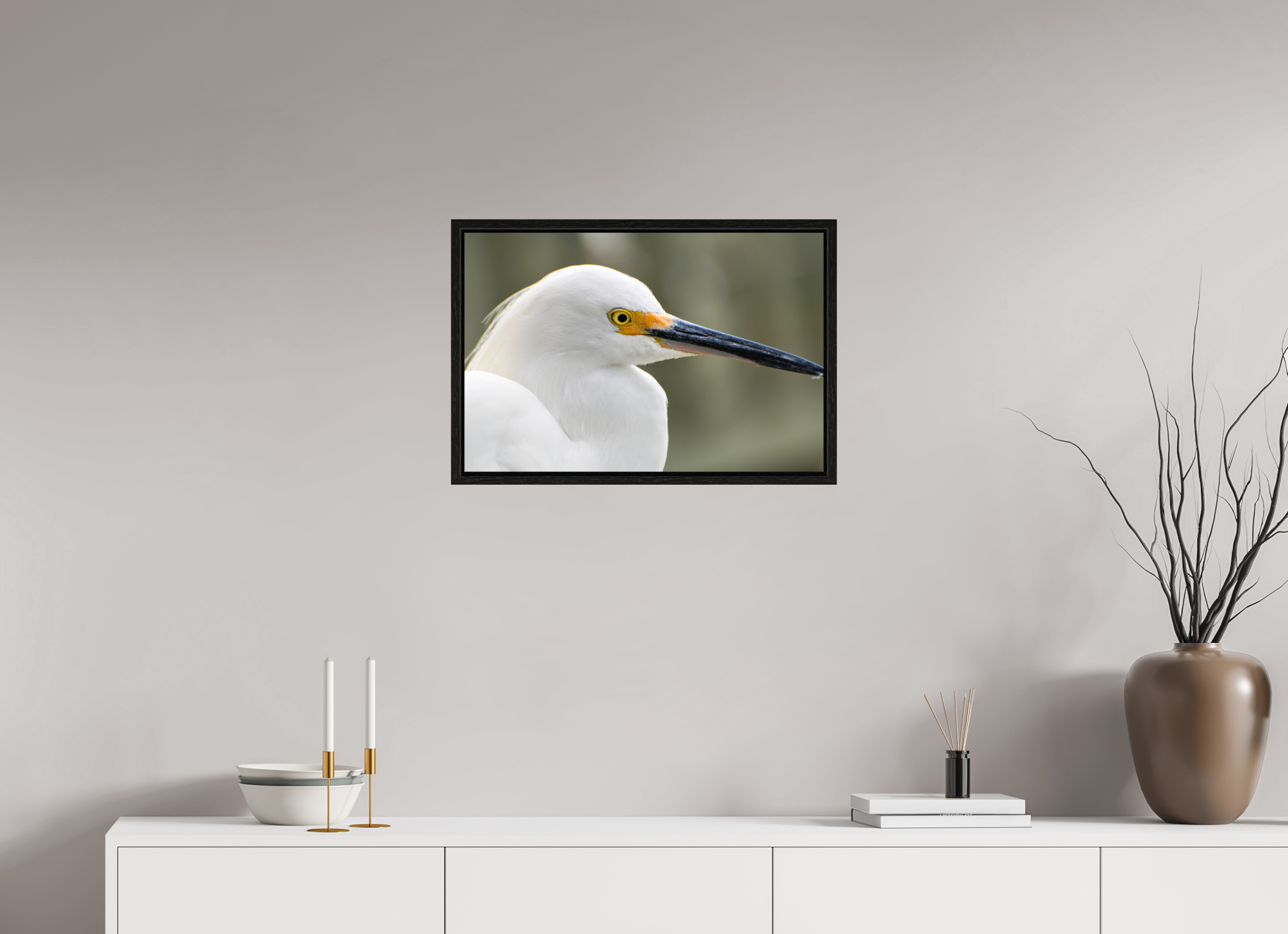 24 x 16″, Floater Frame, Basel 0.6", Black Oak, Glossy Acrylic Glass The White Plume: Snowy Egret Portrait