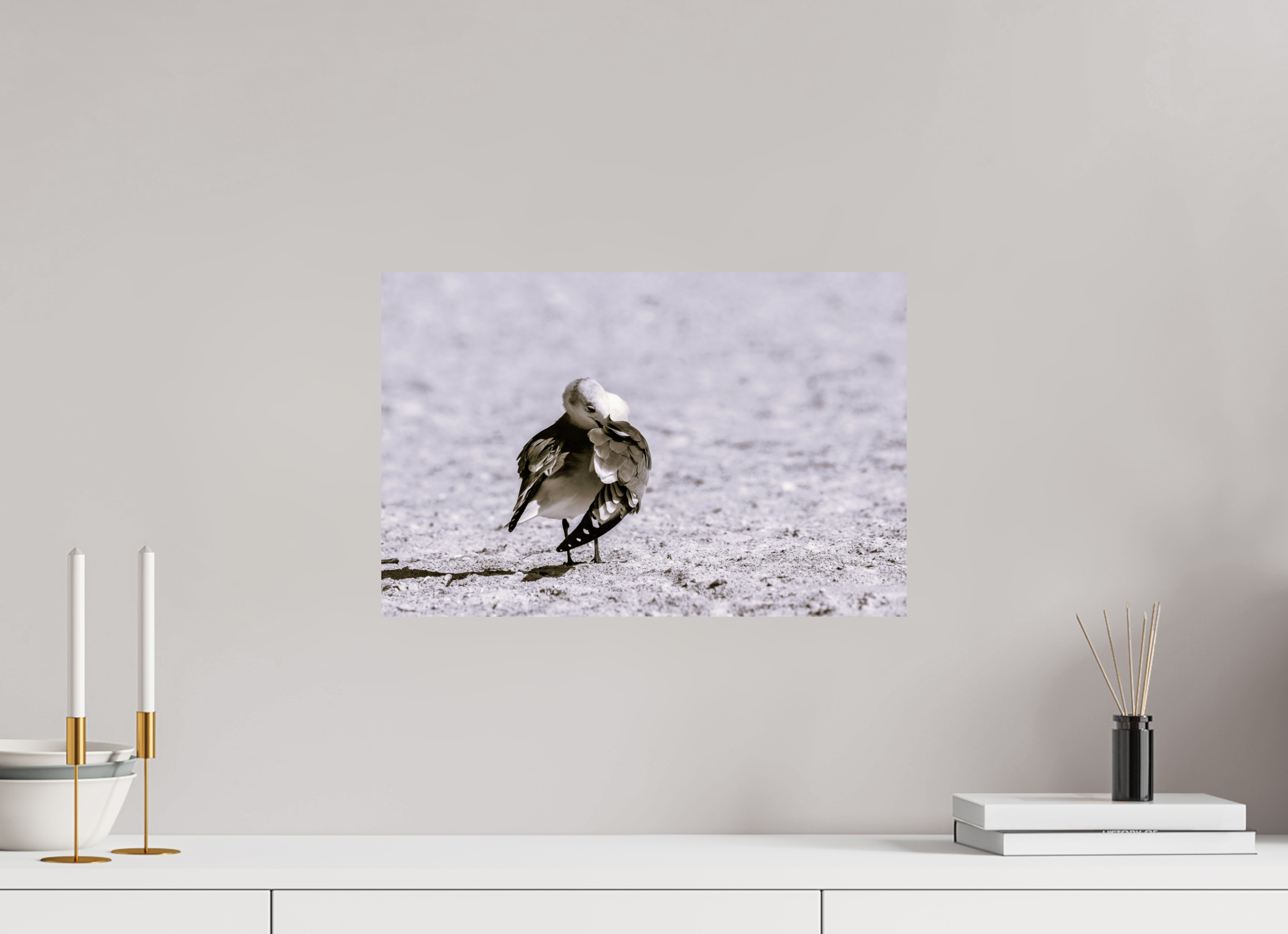 18.3 x 12″, Photo Print On Fuji Crystal DP II A Monochrome Gull Preening