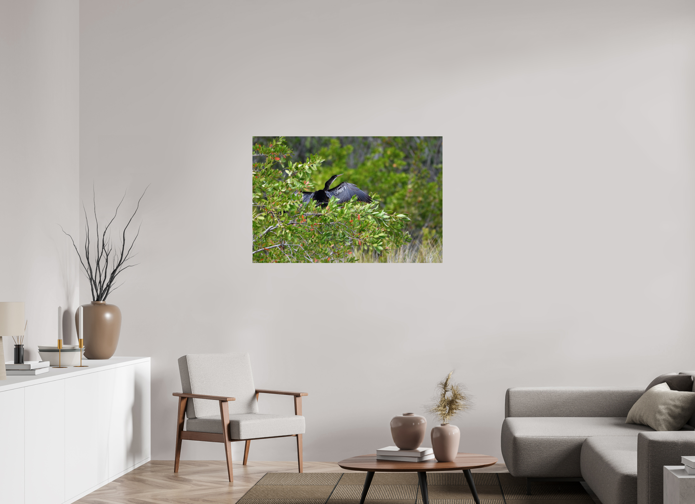 45 x 30″, Photo Print On Fuji Crystal DP II Florida Anhinga Sunning