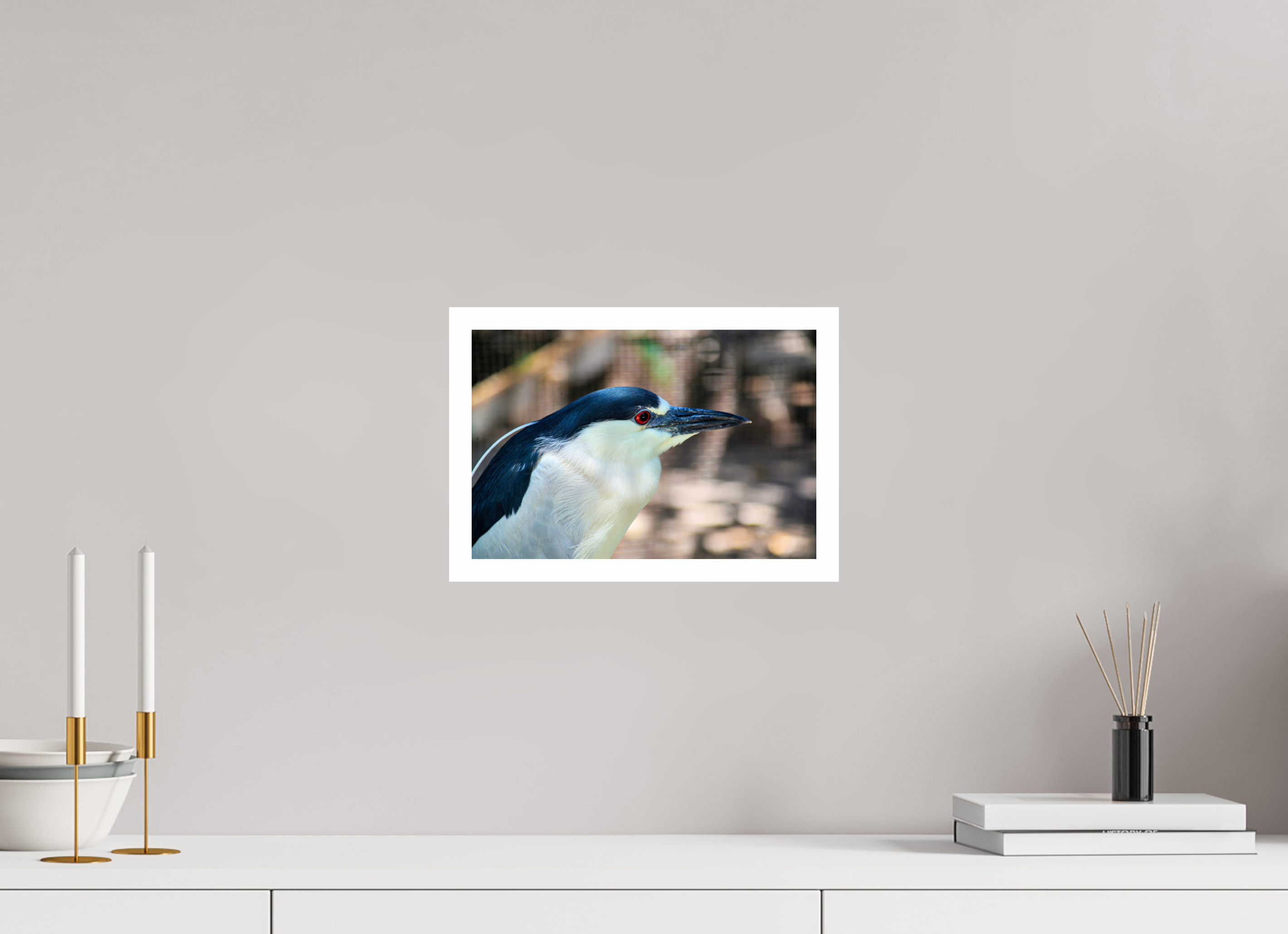 12 x 8″, Hahnemühle FineArt Pearl Print, .79" white border Black-crowned Night Heron