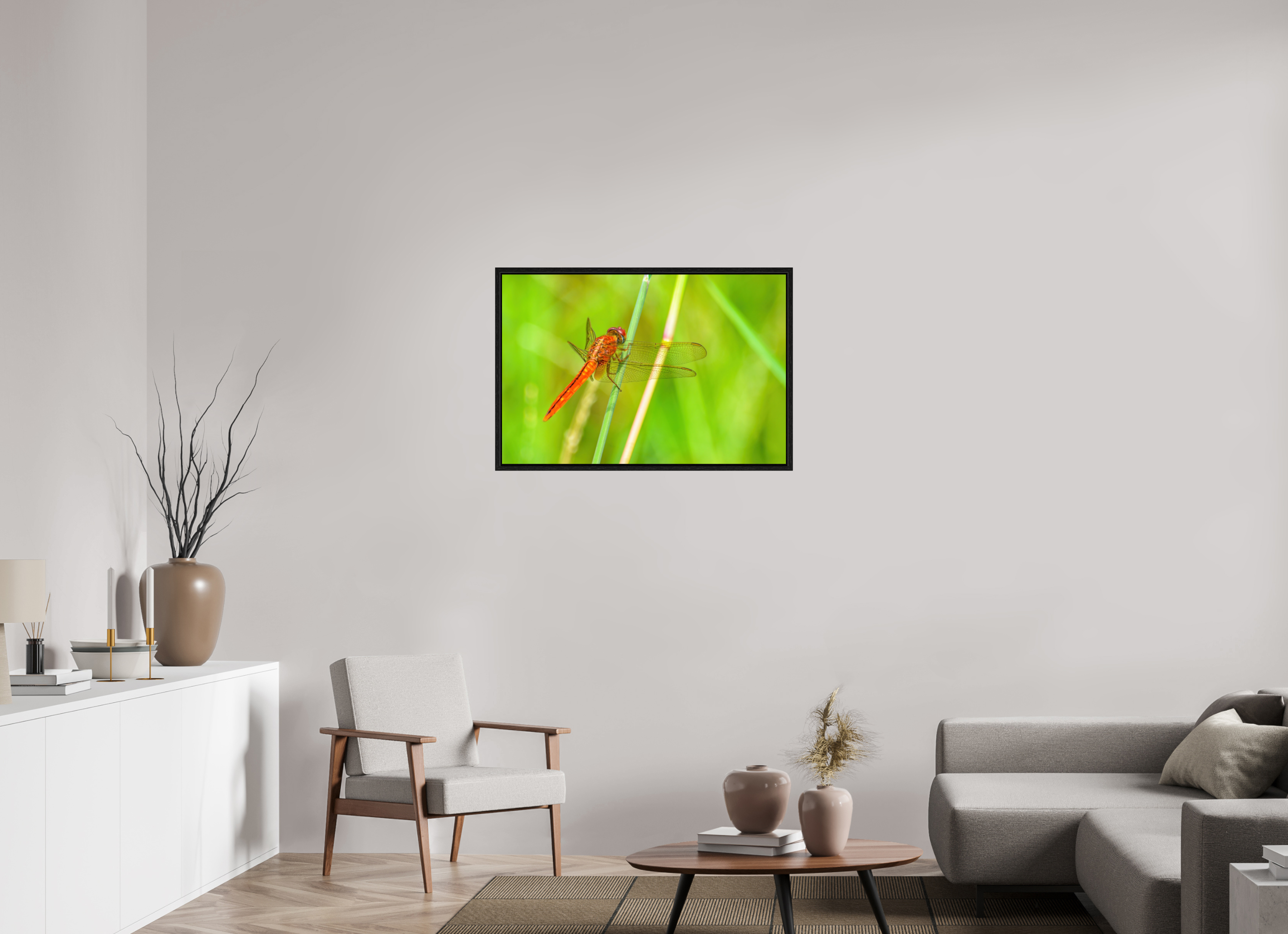 36 x 24″, Floater Frame, Basel 0.6", Black Oak, Glossy Acrylic Glass Resting Scarlet Skimmer