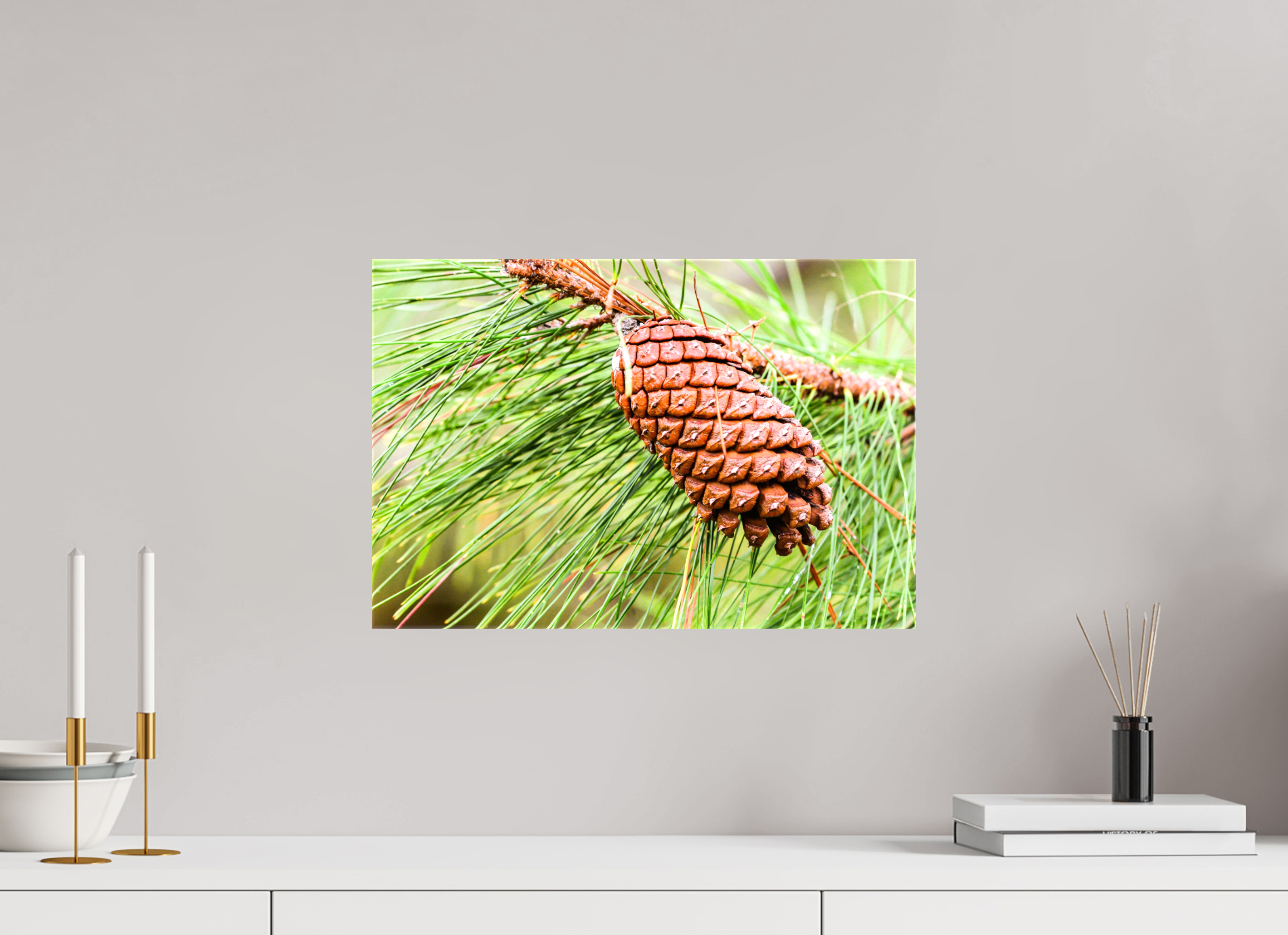 17.8 x 12″, Glossy Canvas on Stretcher Frame, 1,57" Wrapped The Longleaf Pine Cone