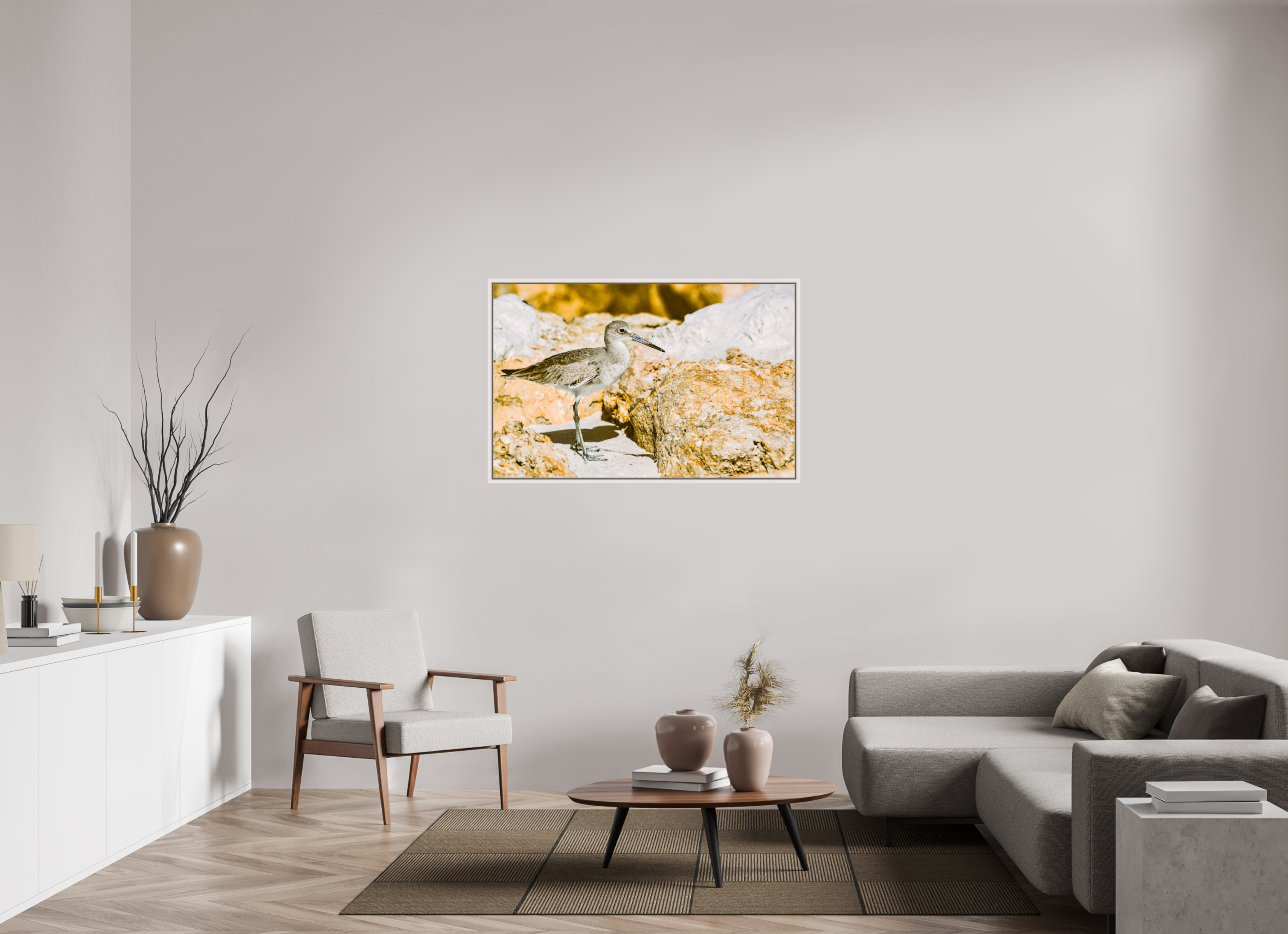 48.3 x 31″, Floater Frame, Basel 0.6", Maple White, Glossy Acrylic Glass The Sunny Willet
