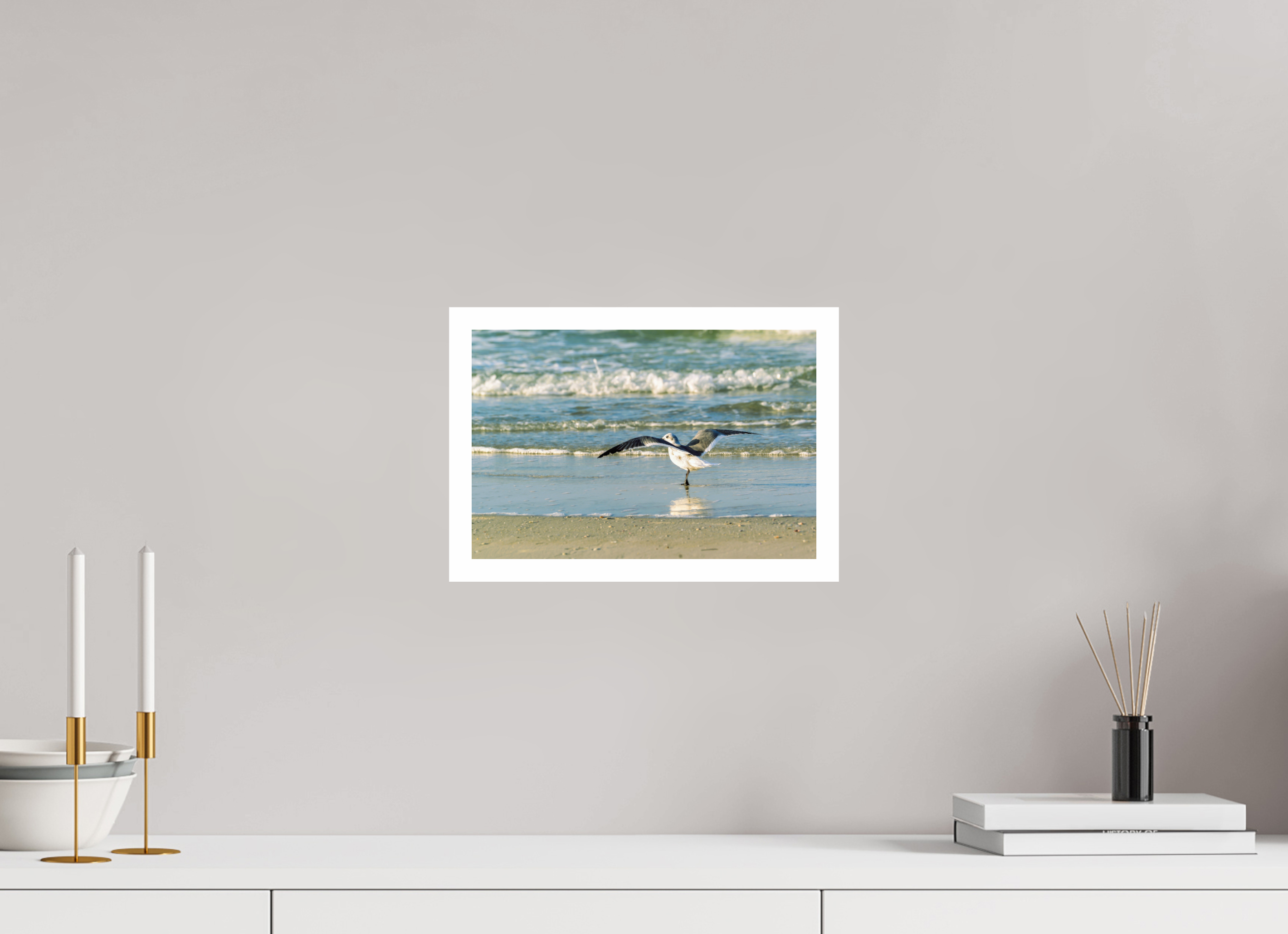 12 x 8″, Hahnemühle FineArt Pearl Print, .79" white border Laughing Gull in Motion