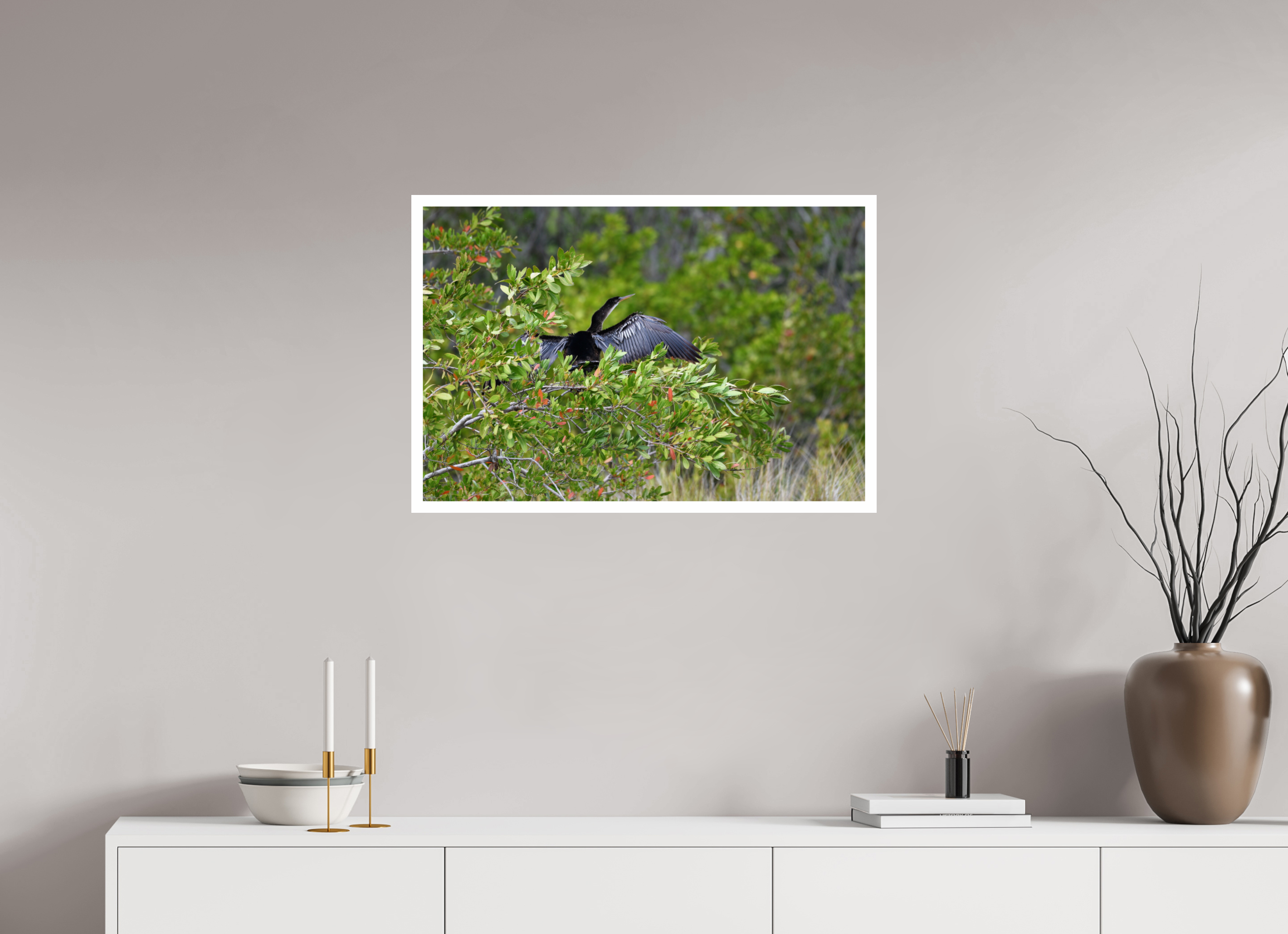 30 x 20″, Hahnemühle FineArt Pearl Print, .79" white border Florida Anhinga Sunning