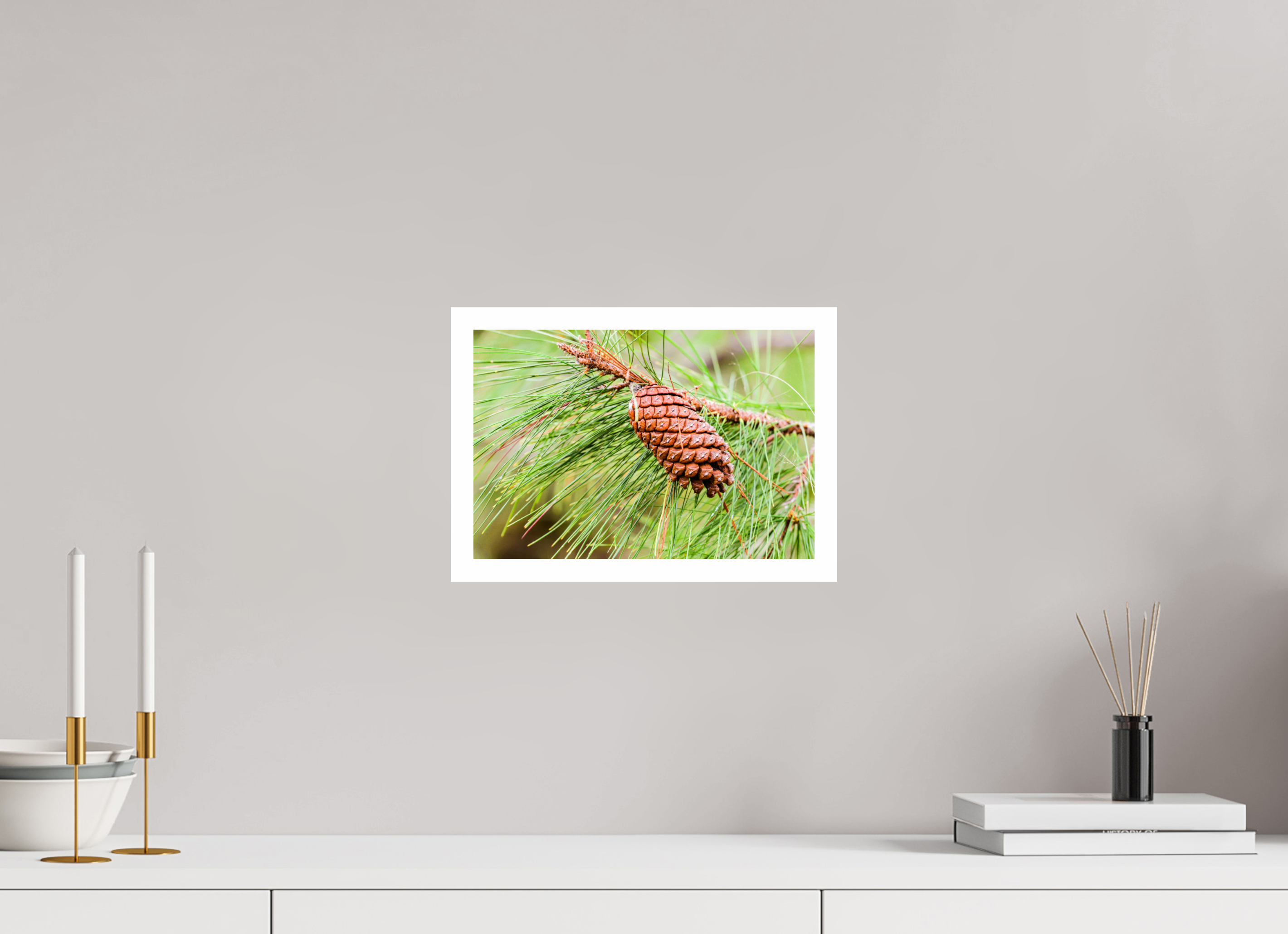 11.9 x 8″, Hahnemühle FineArt Pearl Print, .79" white border The Longleaf Pine Cone