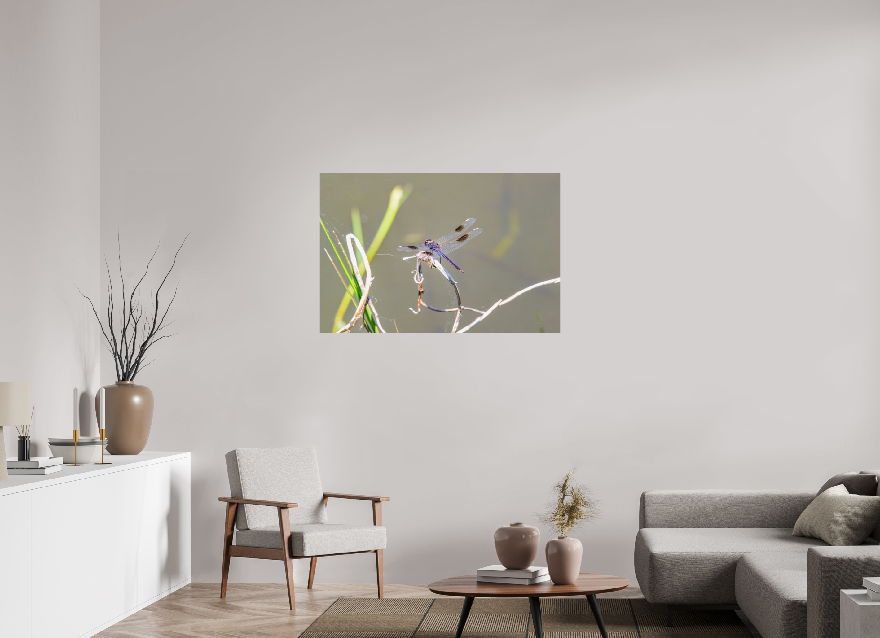 45 x 30″, Photo Print On Fuji Crystal DP II Pennant Dragonfly in the Marsh