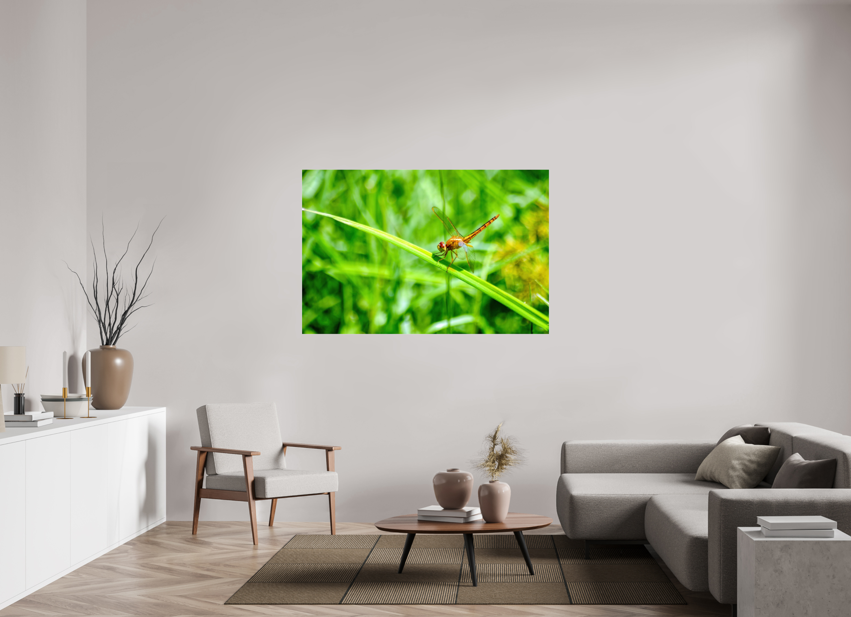 60 x 40″, Photo Print Fuji Crystal Archive Under Acrylic Glass Female Scarlet Skimmer