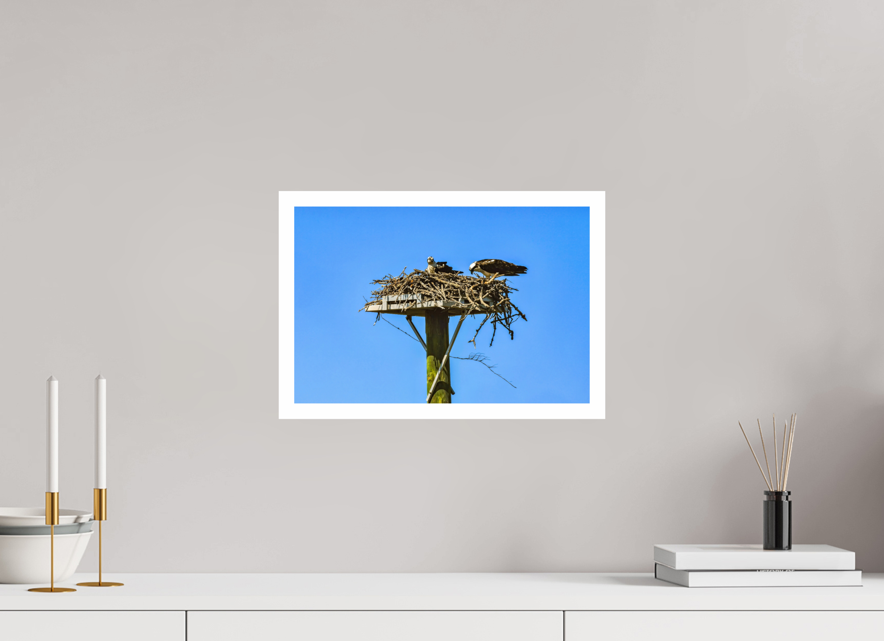 15 x 10″, Hahnemühle FineArt Pearl Print, .79" white border Osprey Outlook