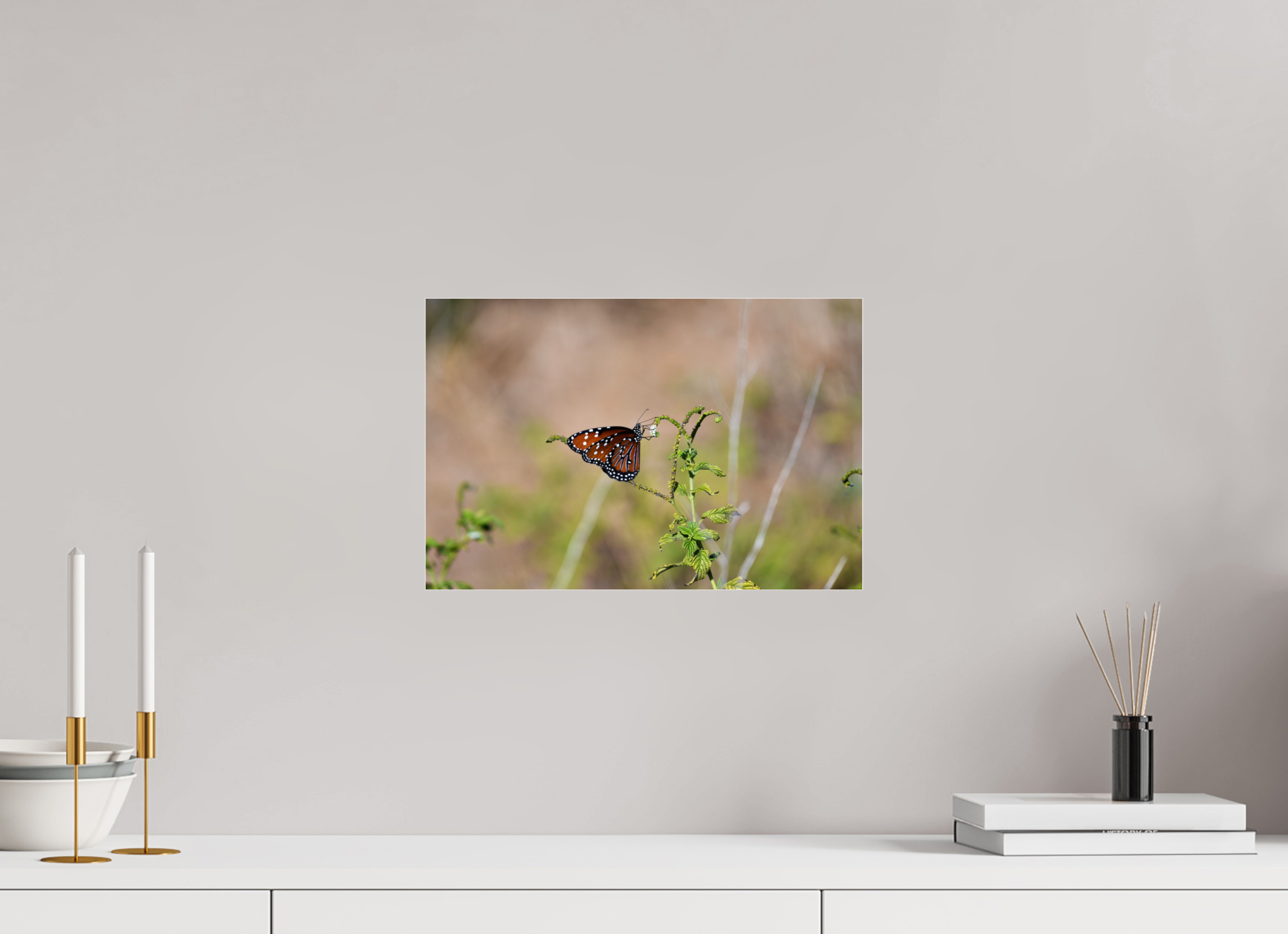 15 x 10″, Metallic Photo Print Under Acrylic Glass Queen Butterfly