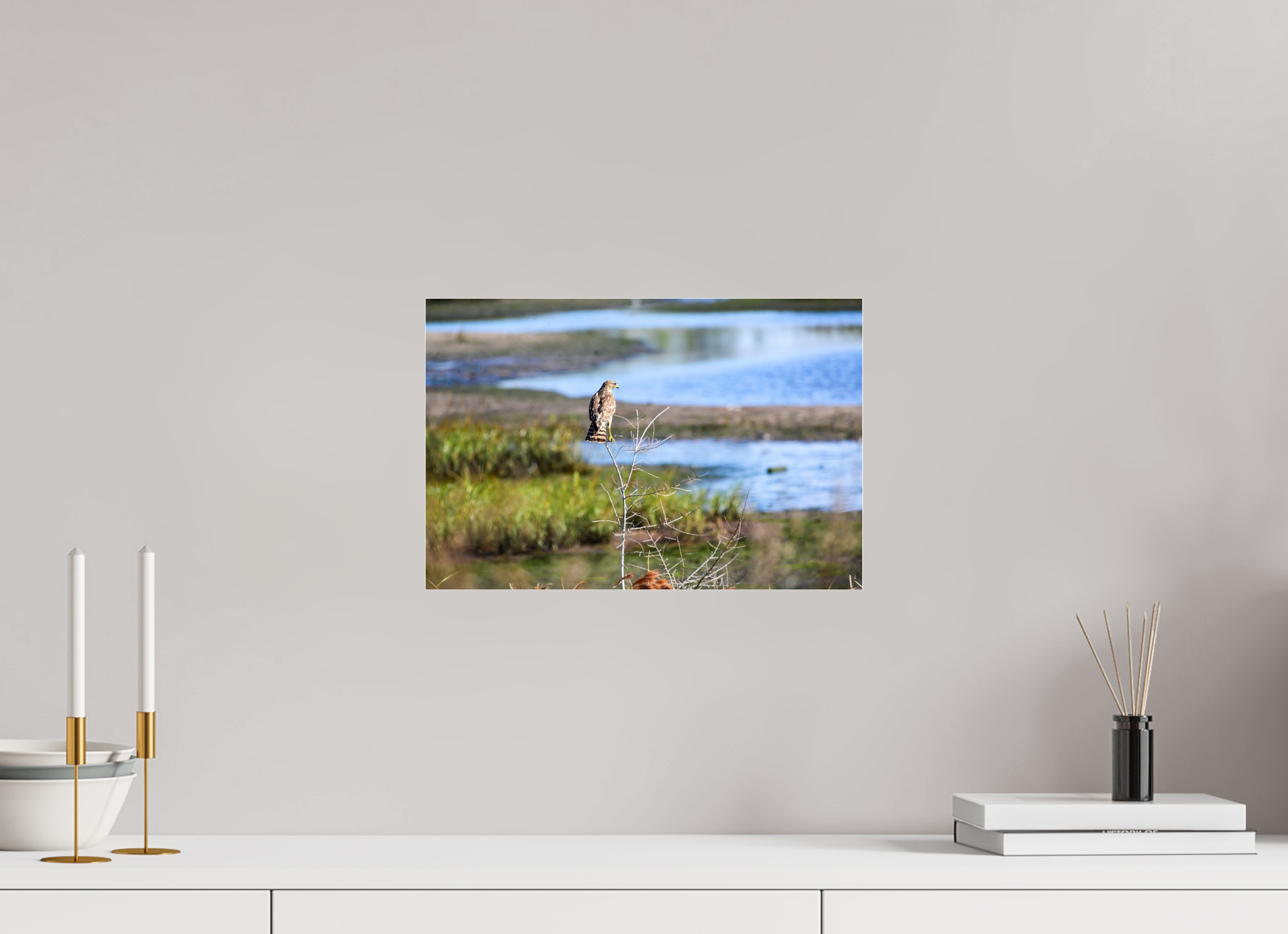 15 x 10″, Photo Print Fuji Crystal Archive Under Acrylic Glass Guardian of the Marsh