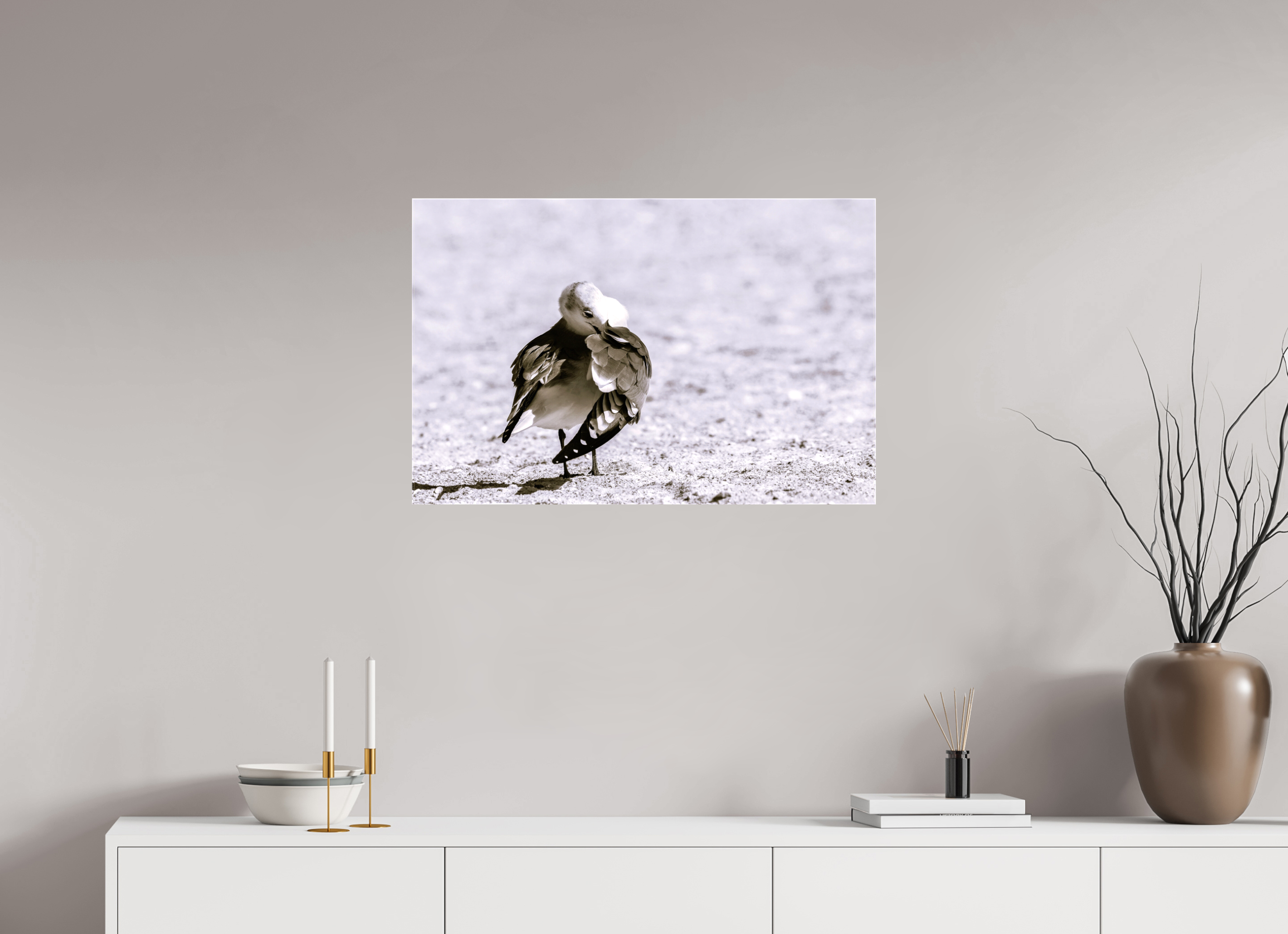 30.5 x 20″, Glossy Canvas on Stretcher Frame, 1,57" Wrapped Preening Gull