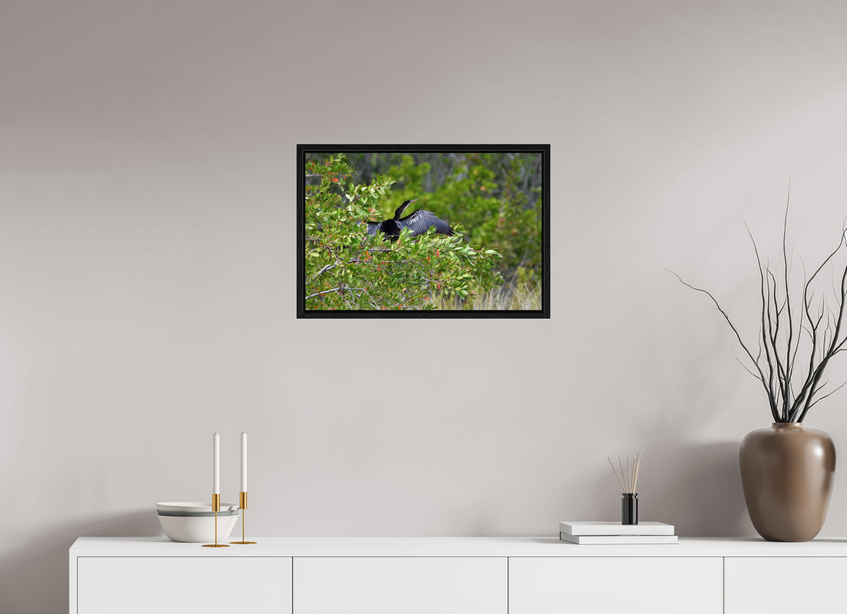 24 x 16″, Floater Frame Florida Anhinga Sunning