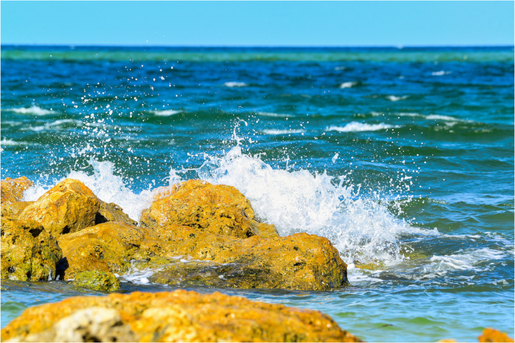 Main image The Ocean’s Impact