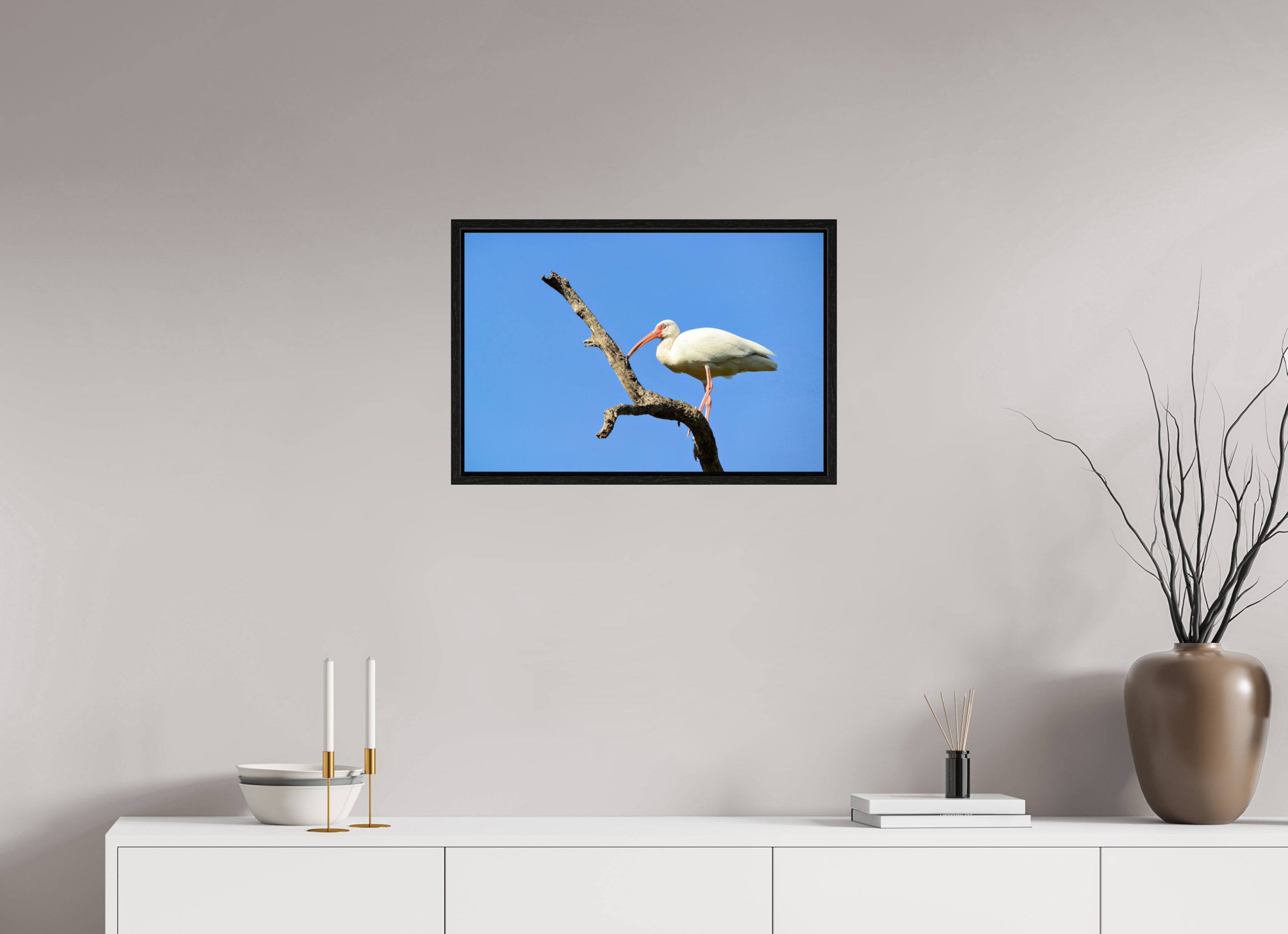 24 x 16″, Floater Frame, Basel 0.6", Black Oak, Glossy Acrylic Glass Azure Solitude: The American White Ibis