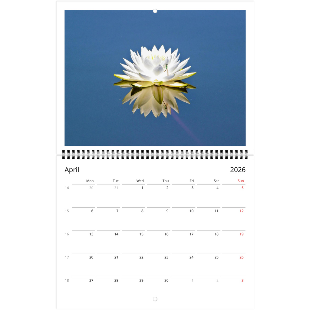 a87552ea-0aba-40a3-99bc-56b156d18924