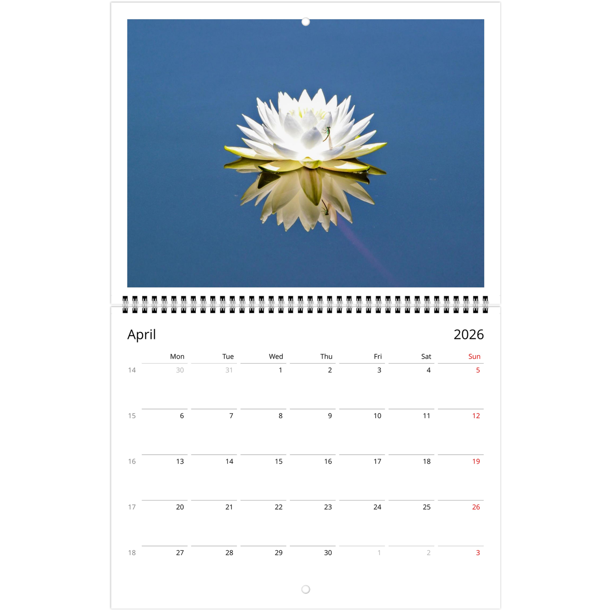 a87552ea-0aba-40a3-99bc-56b156d18924