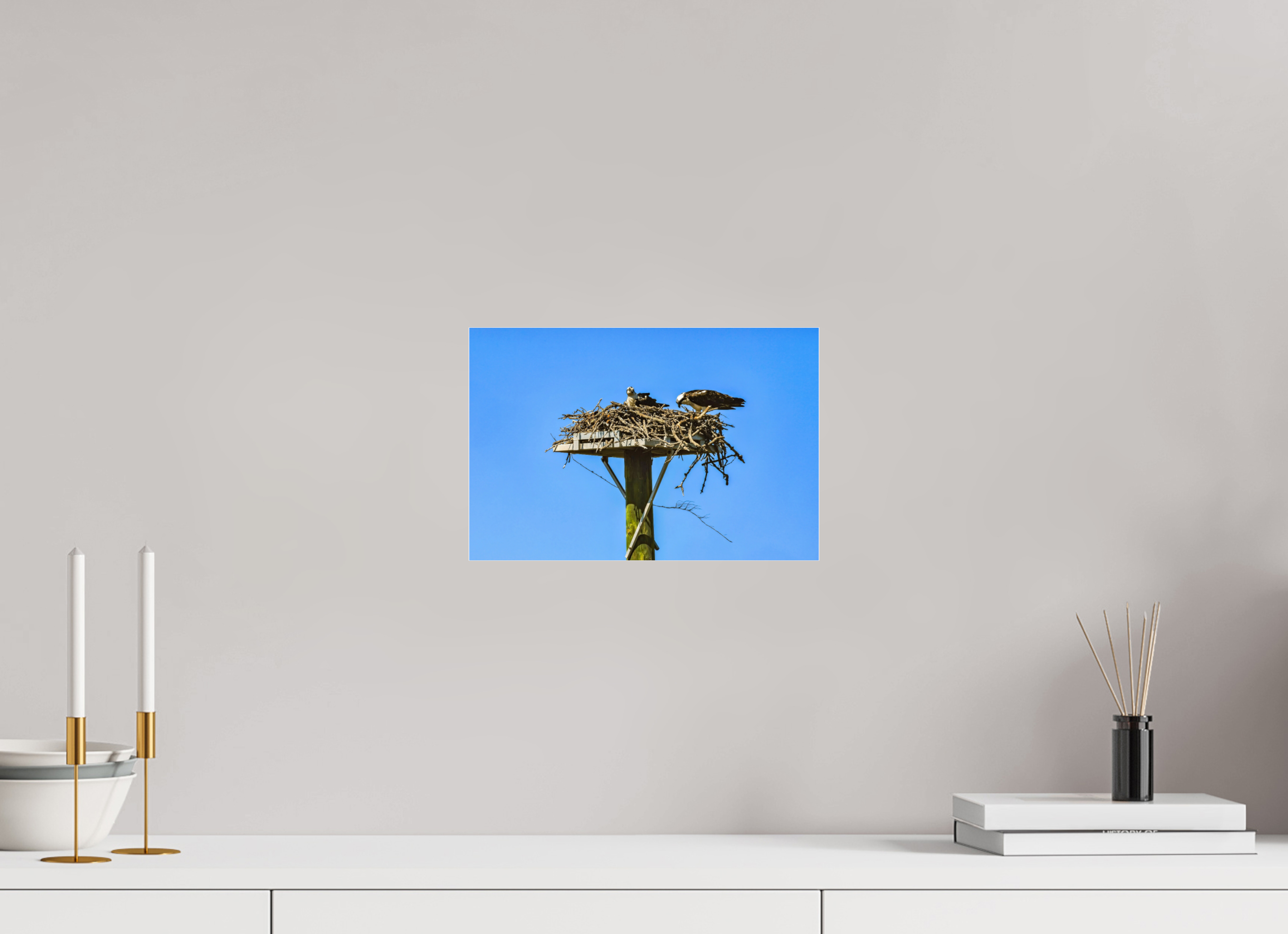 12 x 8″, Photo Print Fuji Crystal Archive Under Acrylic Glass Osprey Outlook