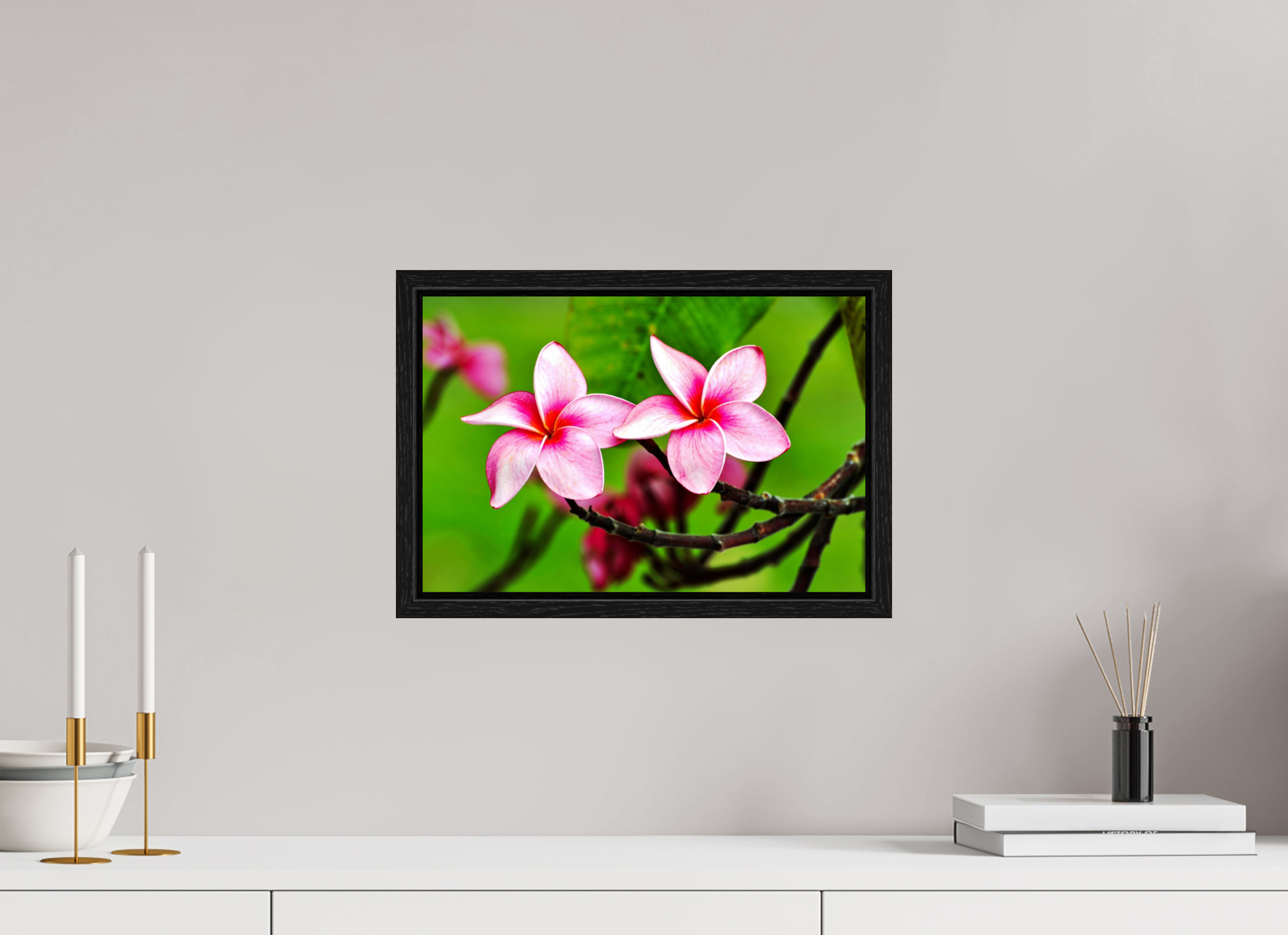 15 x 10″, Floater Frame, Basel 0.6", Black Oak, Glossy Acrylic Glass Pink Plumeria Rubra (Frangipani)