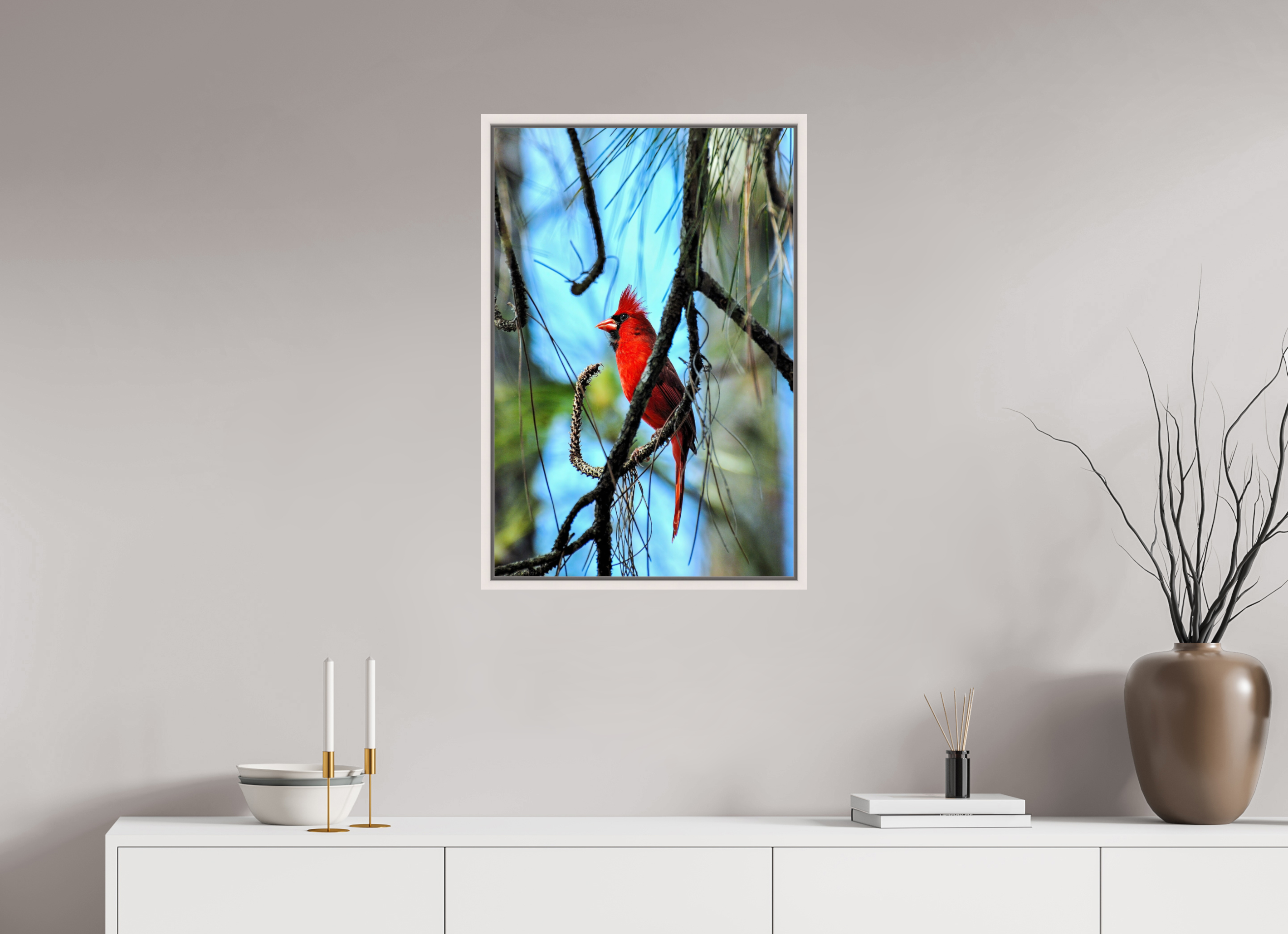 20 x 30″, Floater Frame, Basel 0.6", Maple White, Glossy Acrylic Glass The Corkscrew Cardinal