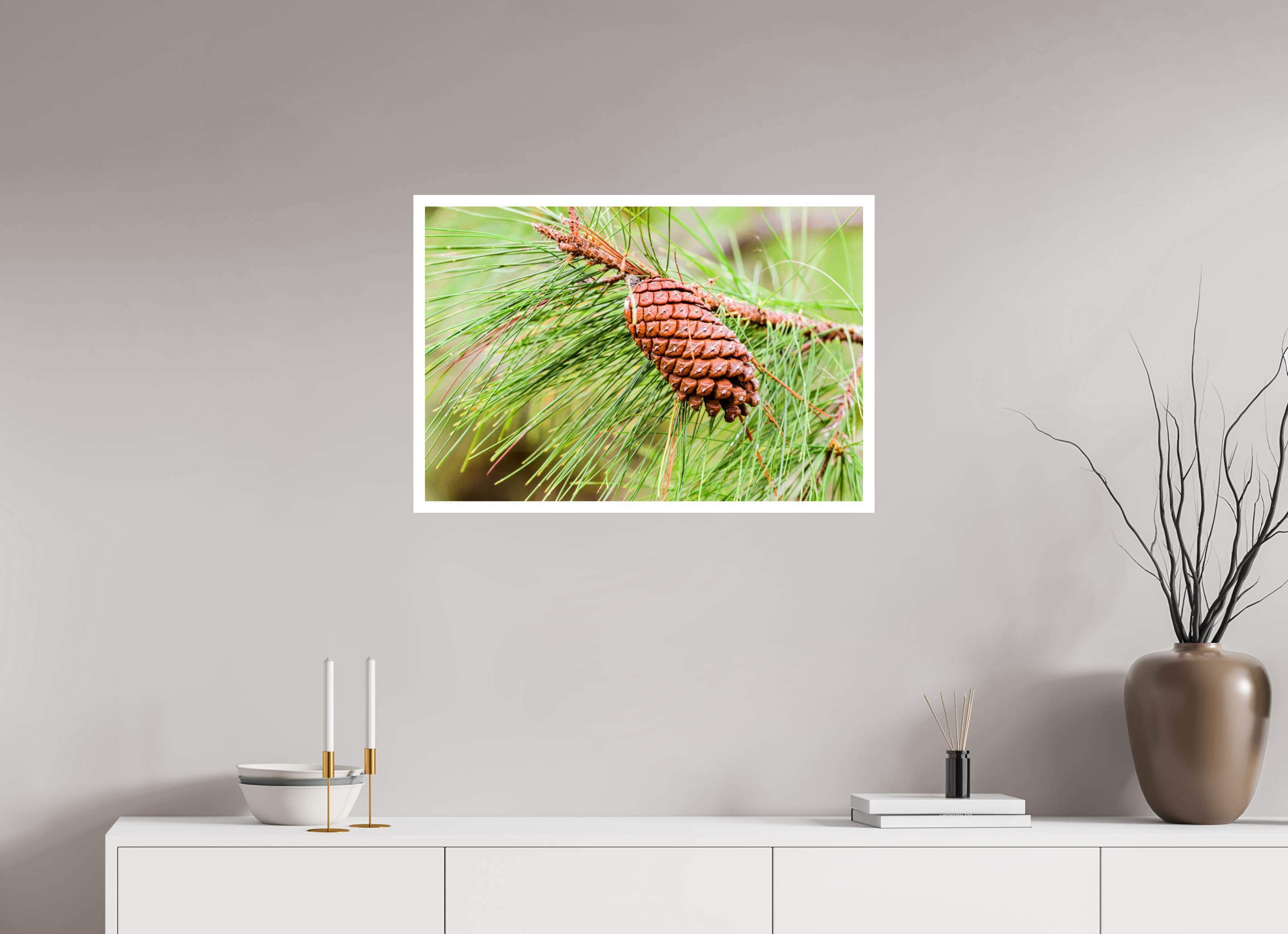 29.7 x 20″, Hahnemühle FineArt Pearl Print, .79" white border The Longleaf Pine Cone