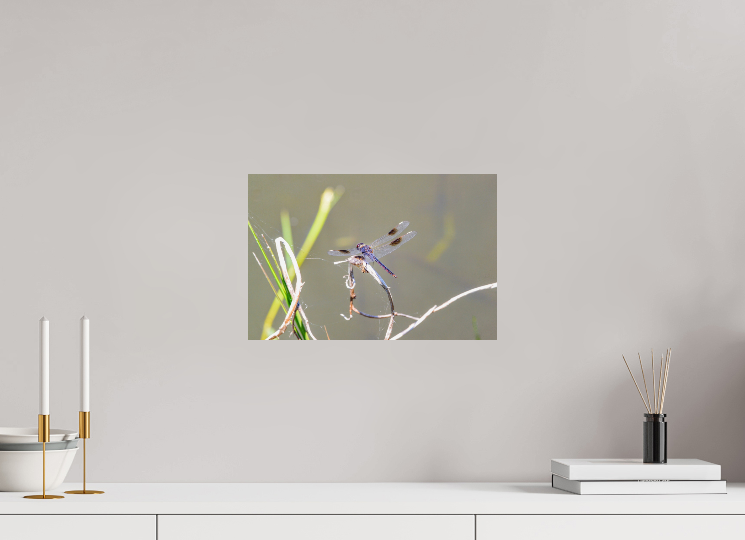 15 x 10″, Photo Print On Fuji Crystal DP II Pennant Dragonfly in the Marsh