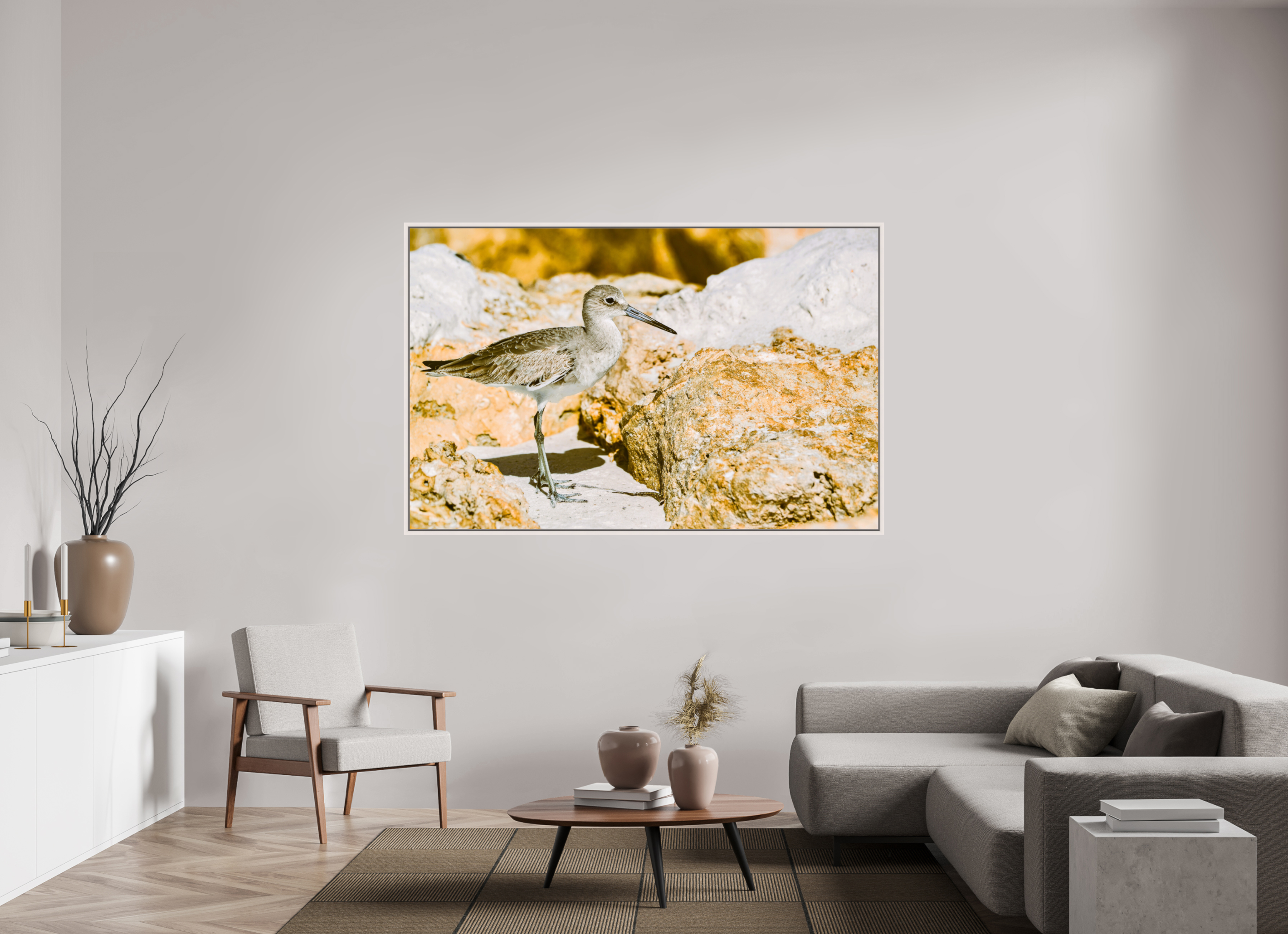 73.1 x 47″, Floater Frame, Basel 0.6", Maple White, Glossy Acrylic Glass The Sunny Willet