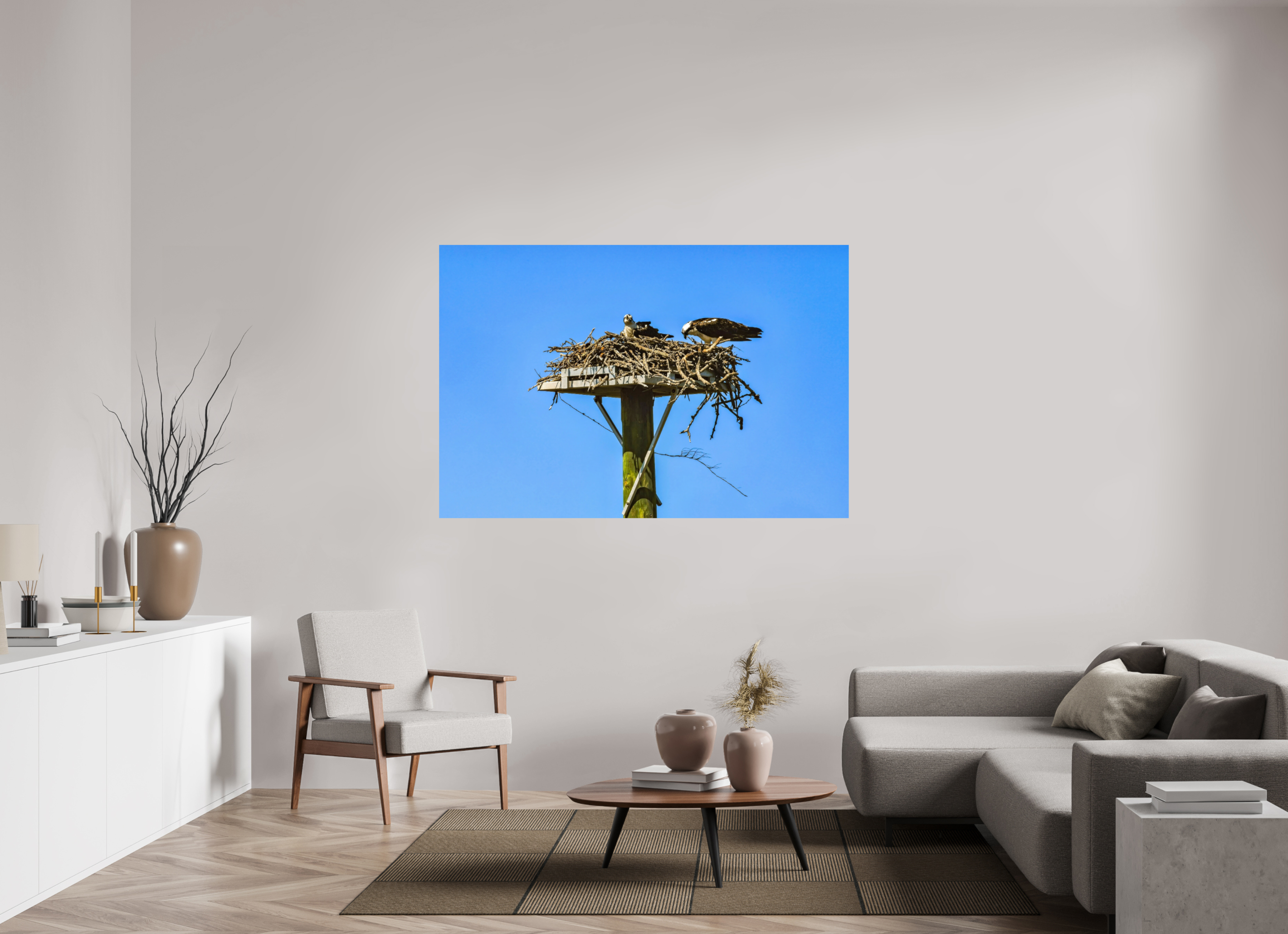 66 x 44″, Photo Print On Fuji Crystal DP II Osprey Outlook