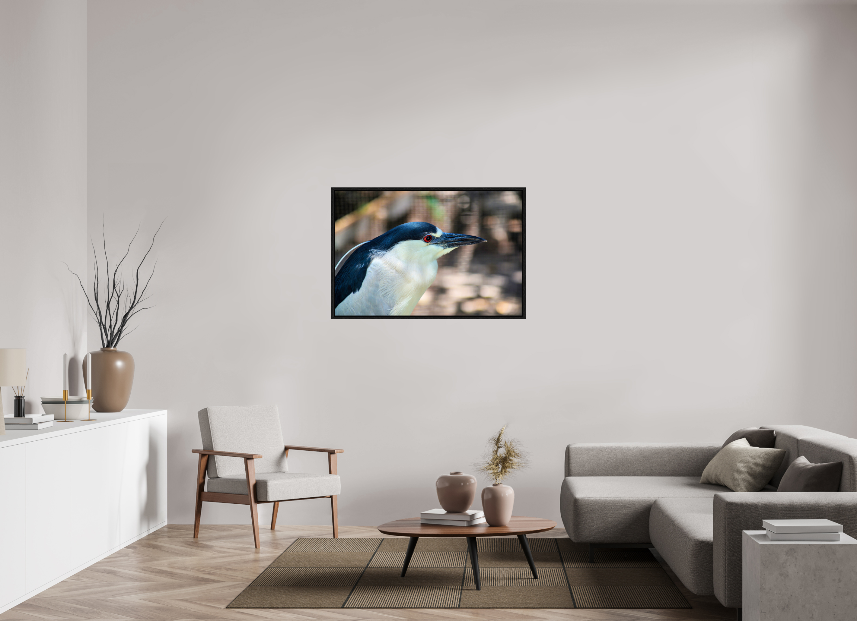 45 x 30″, Floater Frame, Basel 0.6", Black Oak, Glossy Acrylic Glass Black-crowned Night Heron