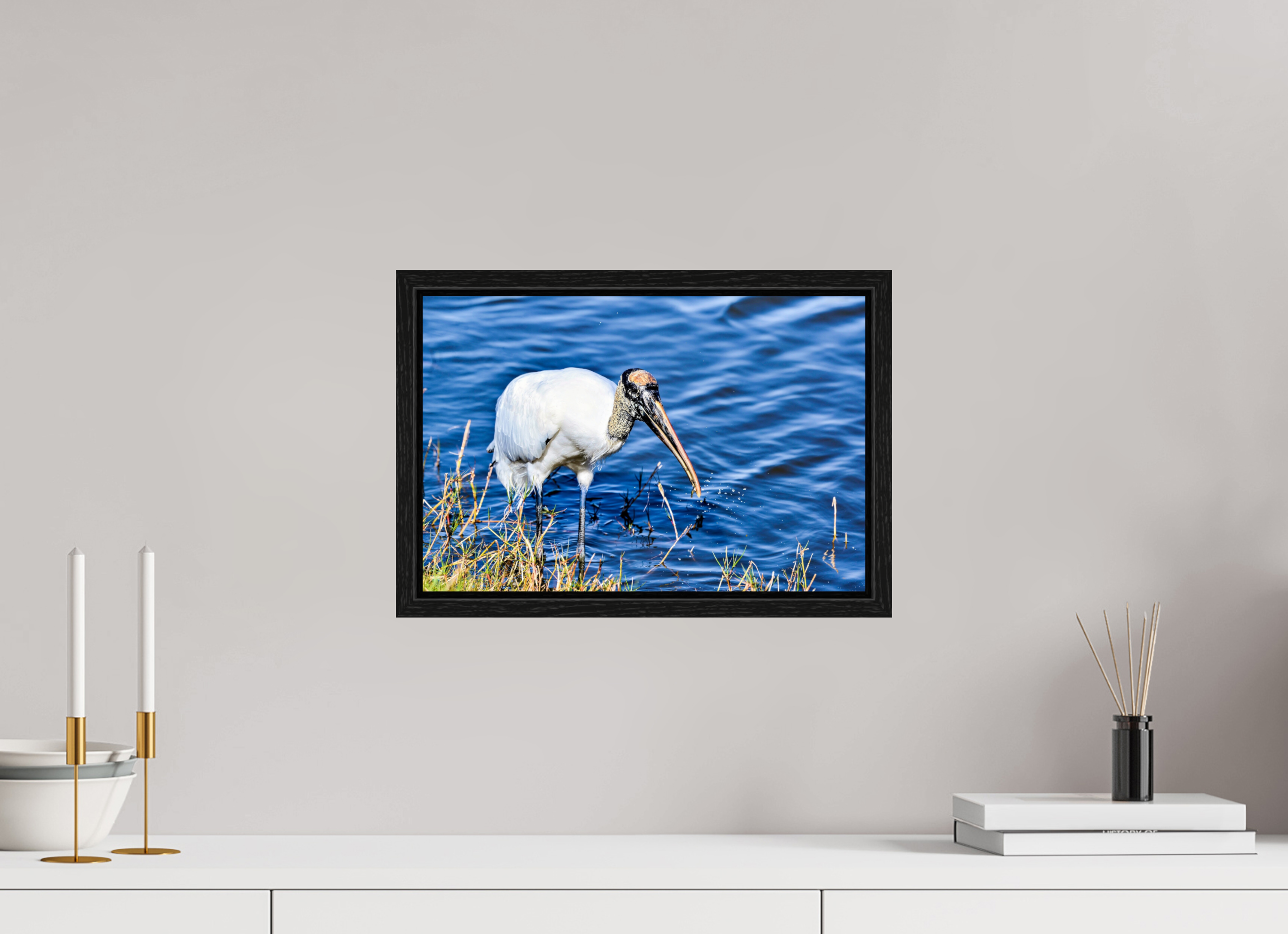 15 x 10″, Floater Frame, Basel 0.6", Black Oak, Glossy Acrylic Glass The Morning Catch: Wood Stork in Action