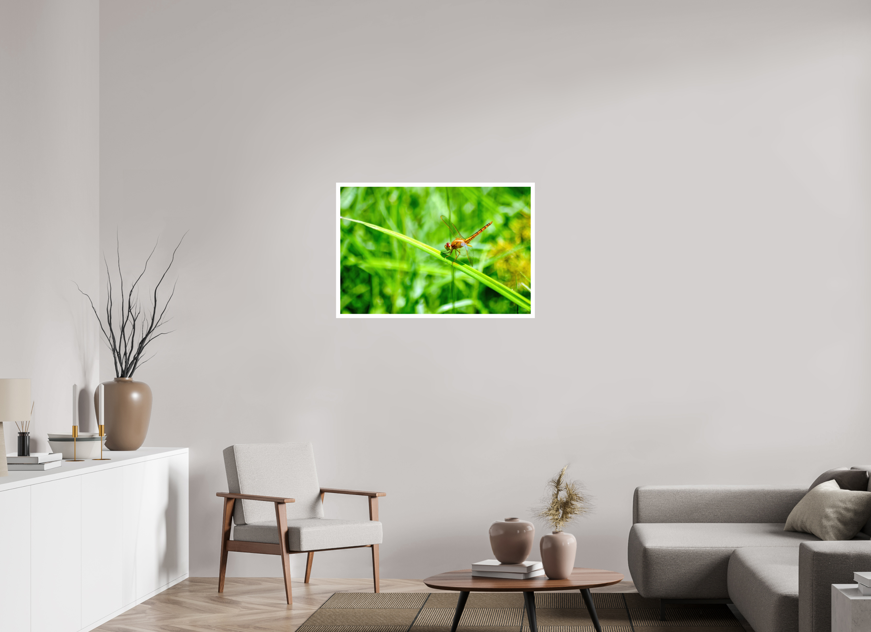 36 x 24″, Hahnemühle FineArt Pearl Print, .79" white border Female Scarlet Skimmer