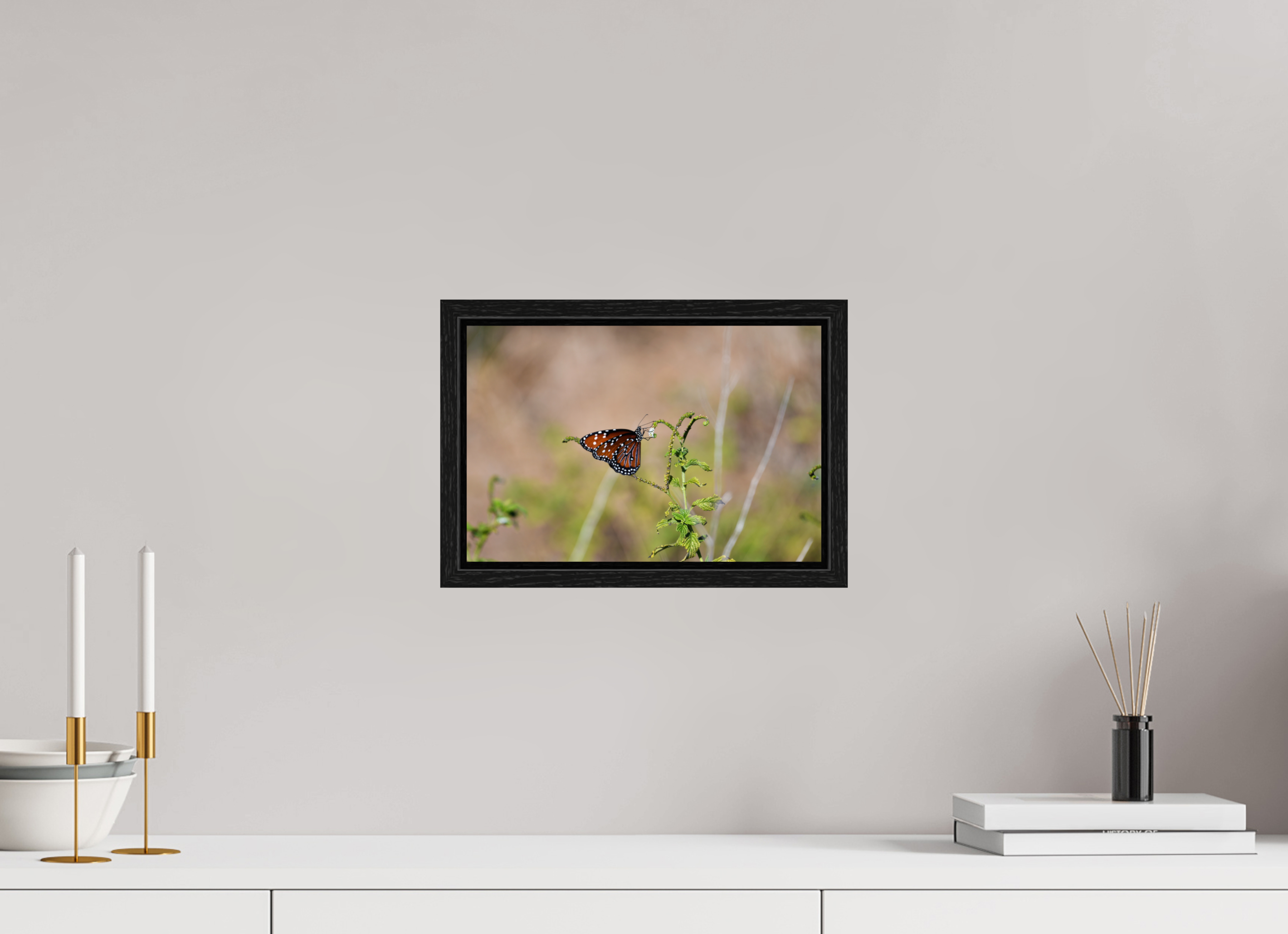 12 x 8″, Floater Frame Queen Butterfly