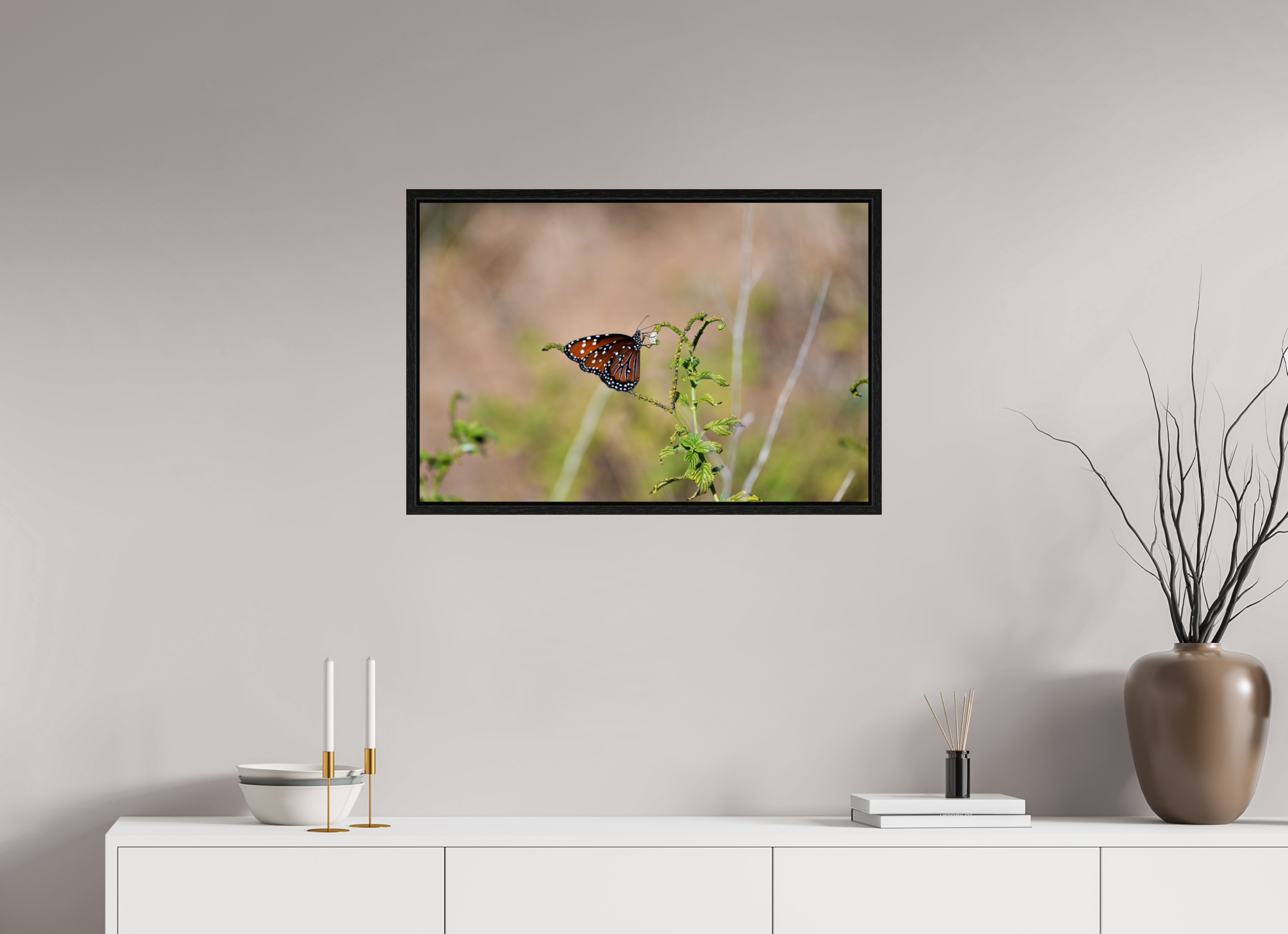 30 x 20″, Floater Frame Queen Butterfly