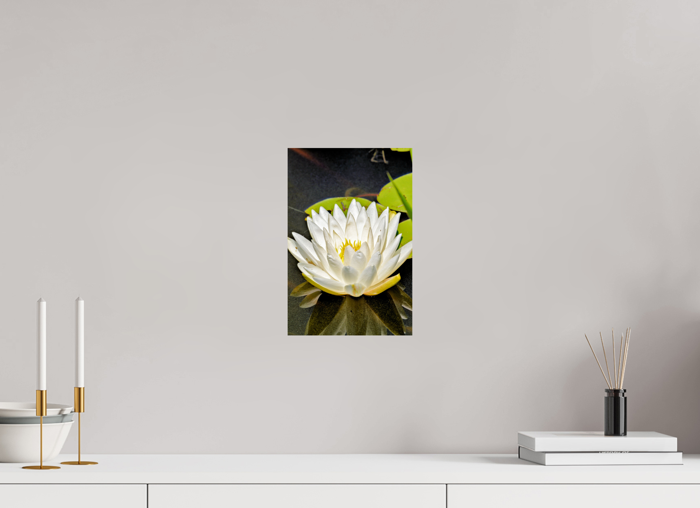 8 x 12″, Photo Print On Fuji Crystal DP II The White Water Lily