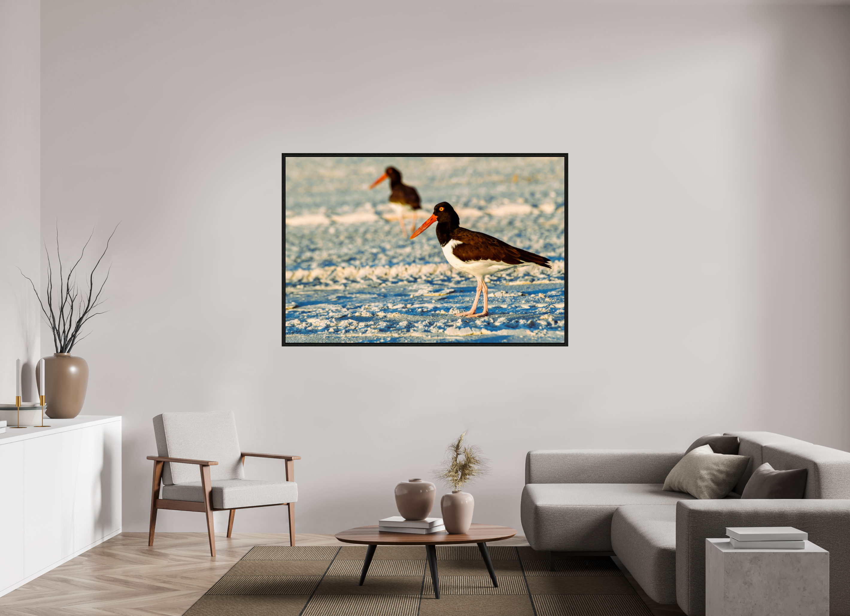 66 x 44″, Floater Frame Oystercatcher Stroll