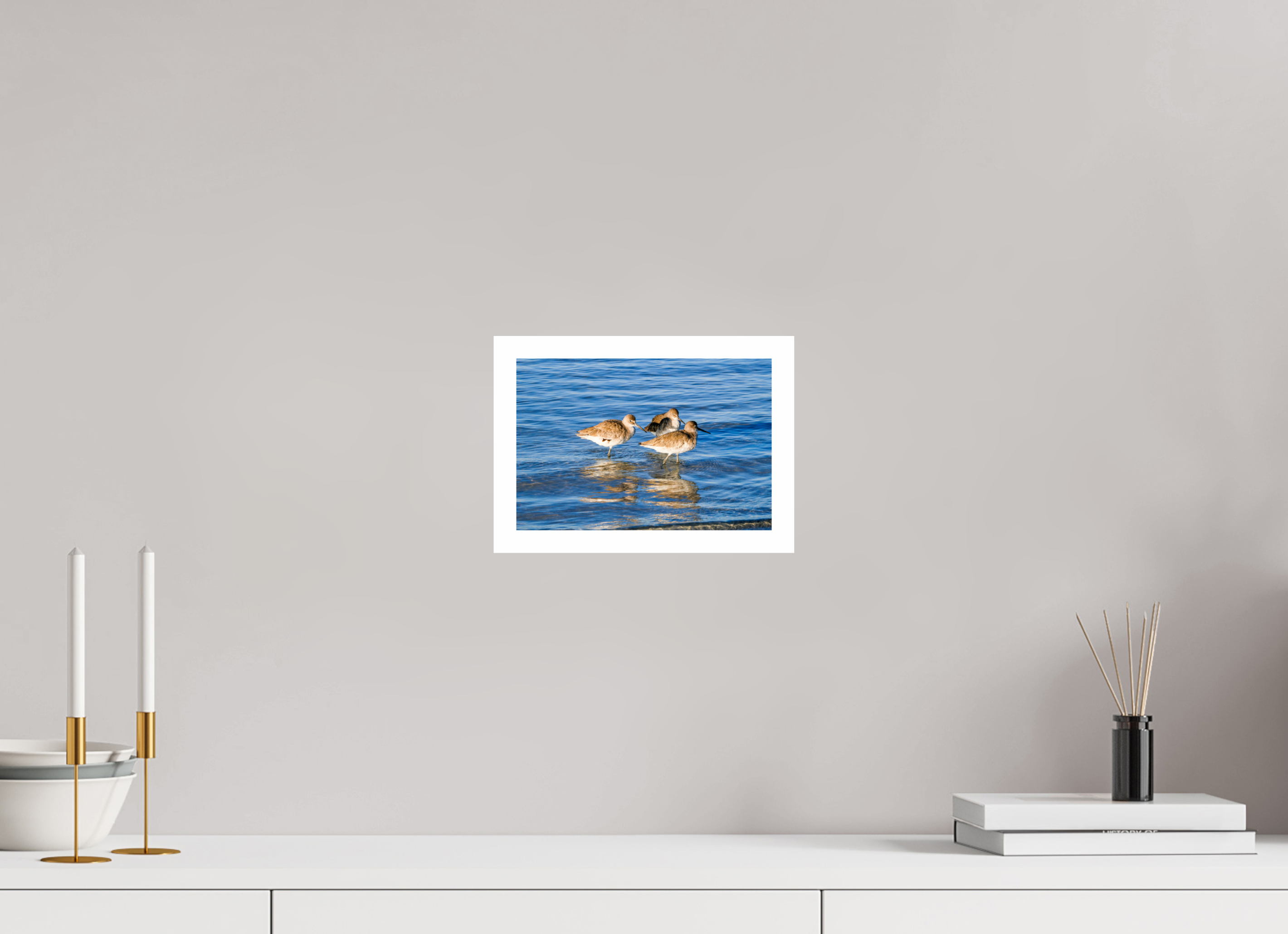 8.9 x 6″, Hahnemühle FineArt Pearl Print, .79" white border The Shoreline Trio: Willets in the Surf