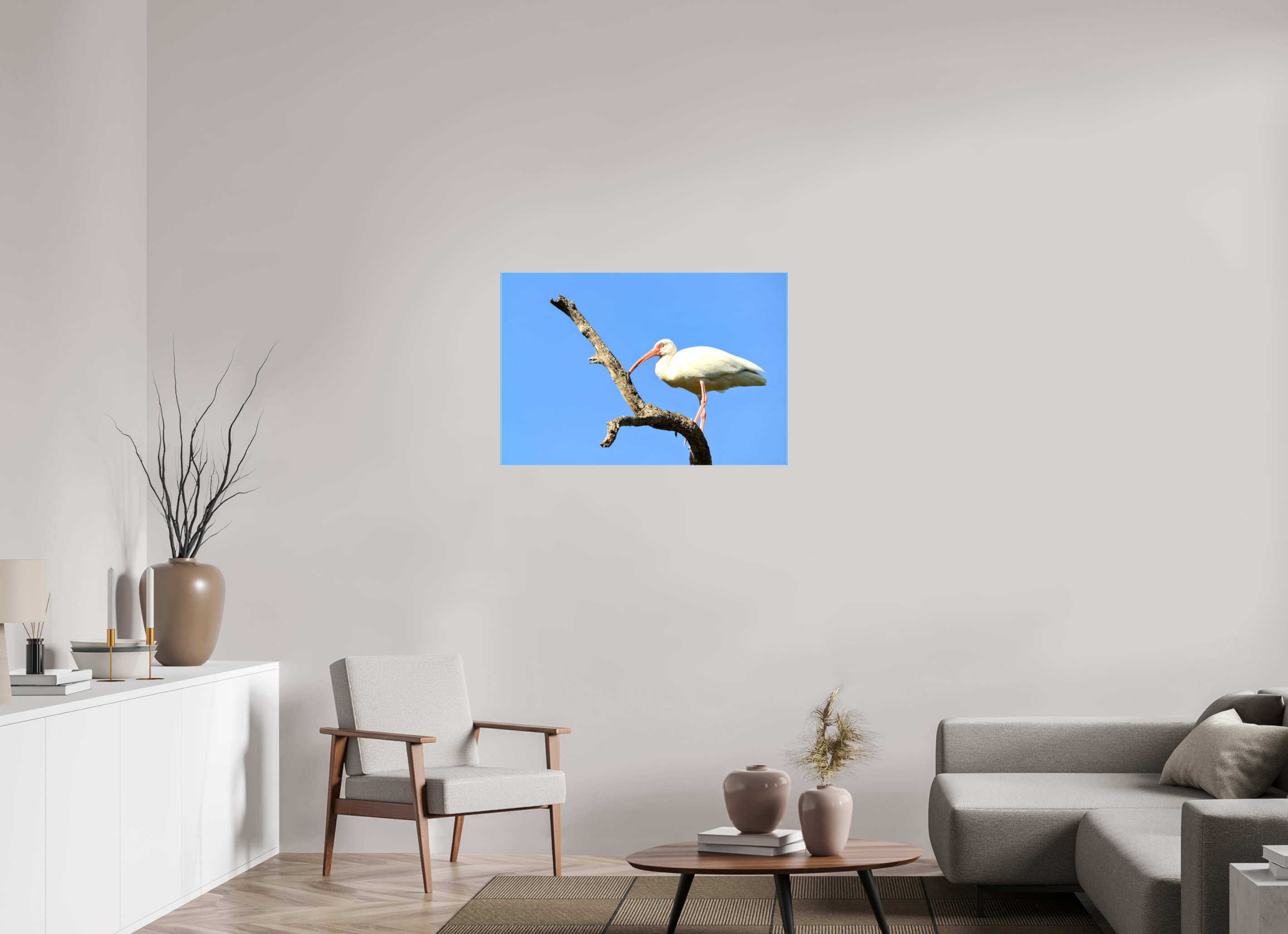 36 x 24″, Glossy Canvas on Stretcher Frame, 1,57" Wrapped Azure Solitude: The American White Ibis