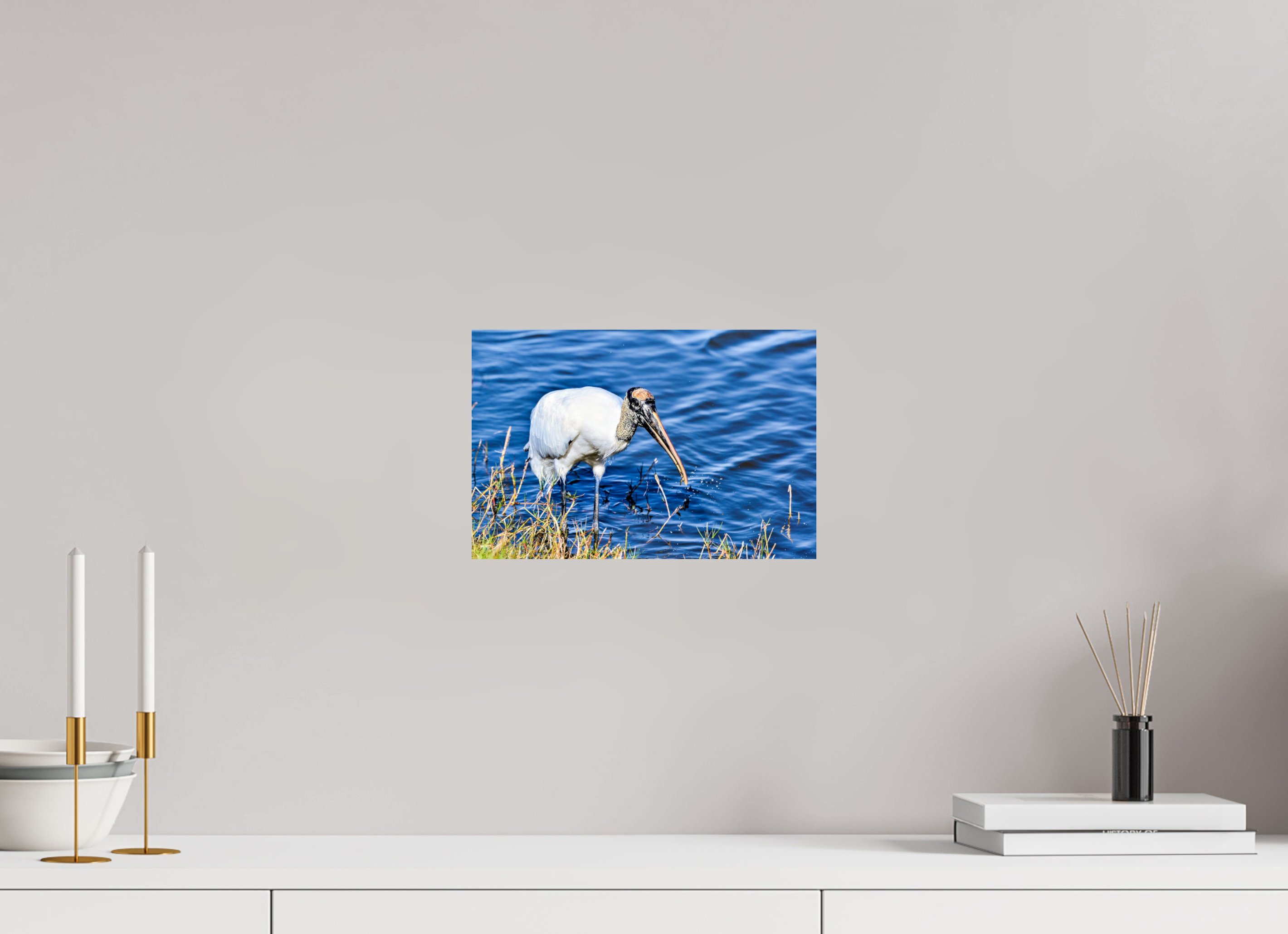 12 x 8″, Photo Print On Fuji Crystal DP II The Morning Catch: Wood Stork in Action