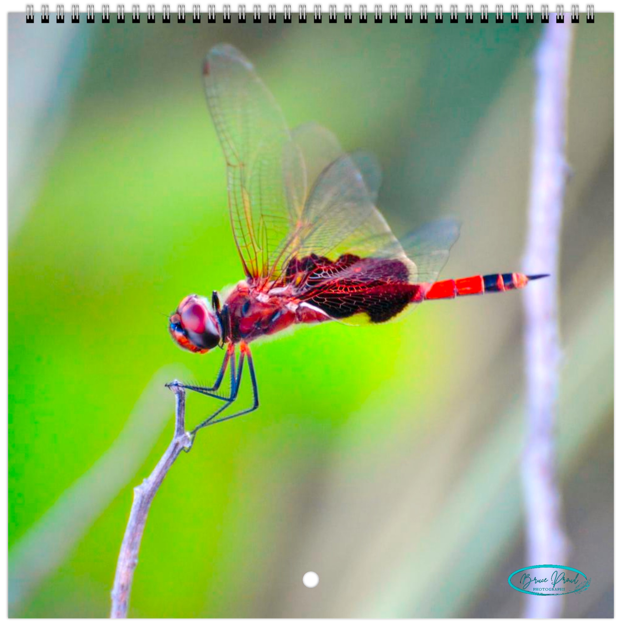 af011516-a306-4a06-831b-9aa351b4df89
